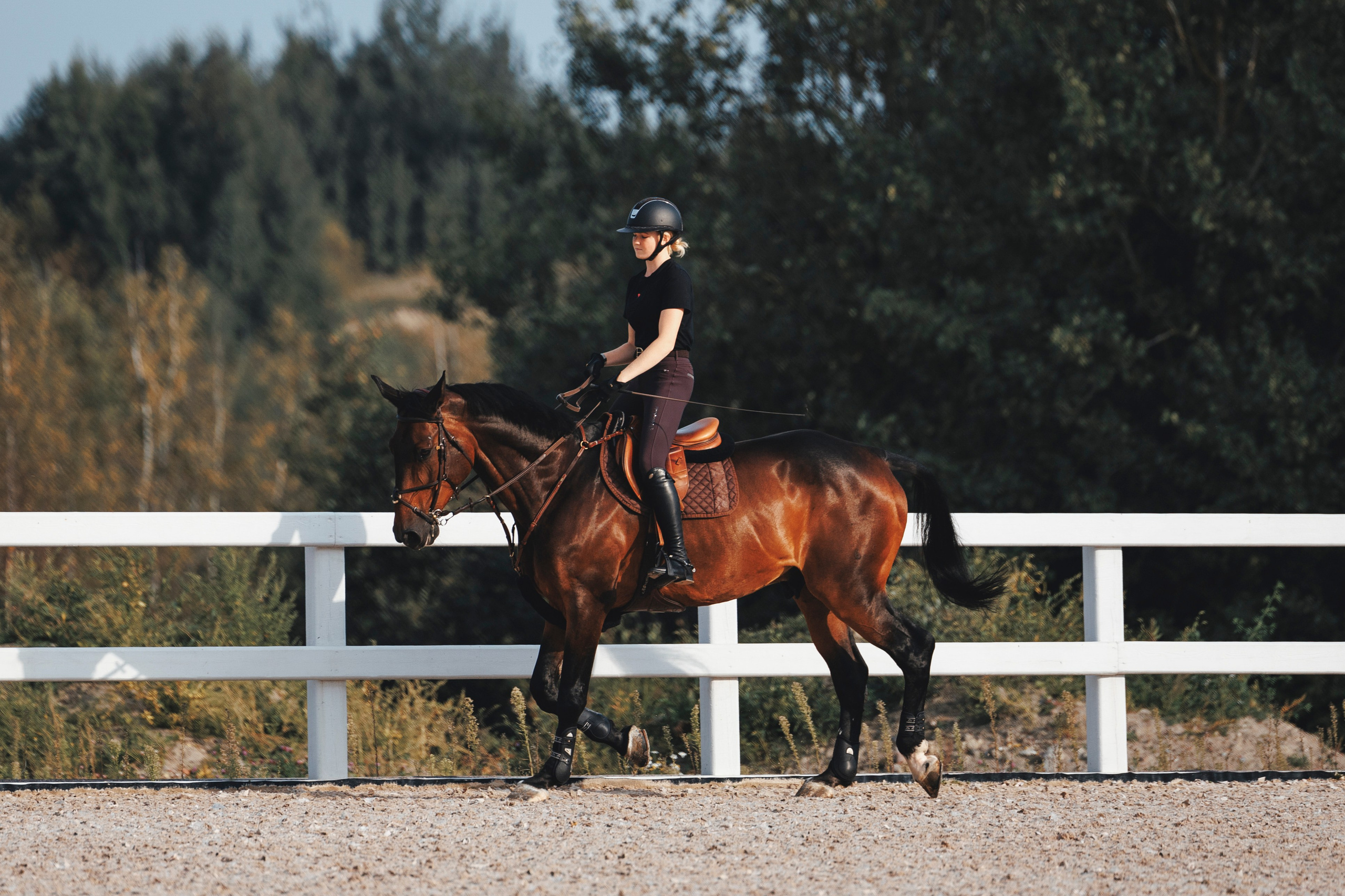 Конкур. Фотограф-анималист Анна Маринич