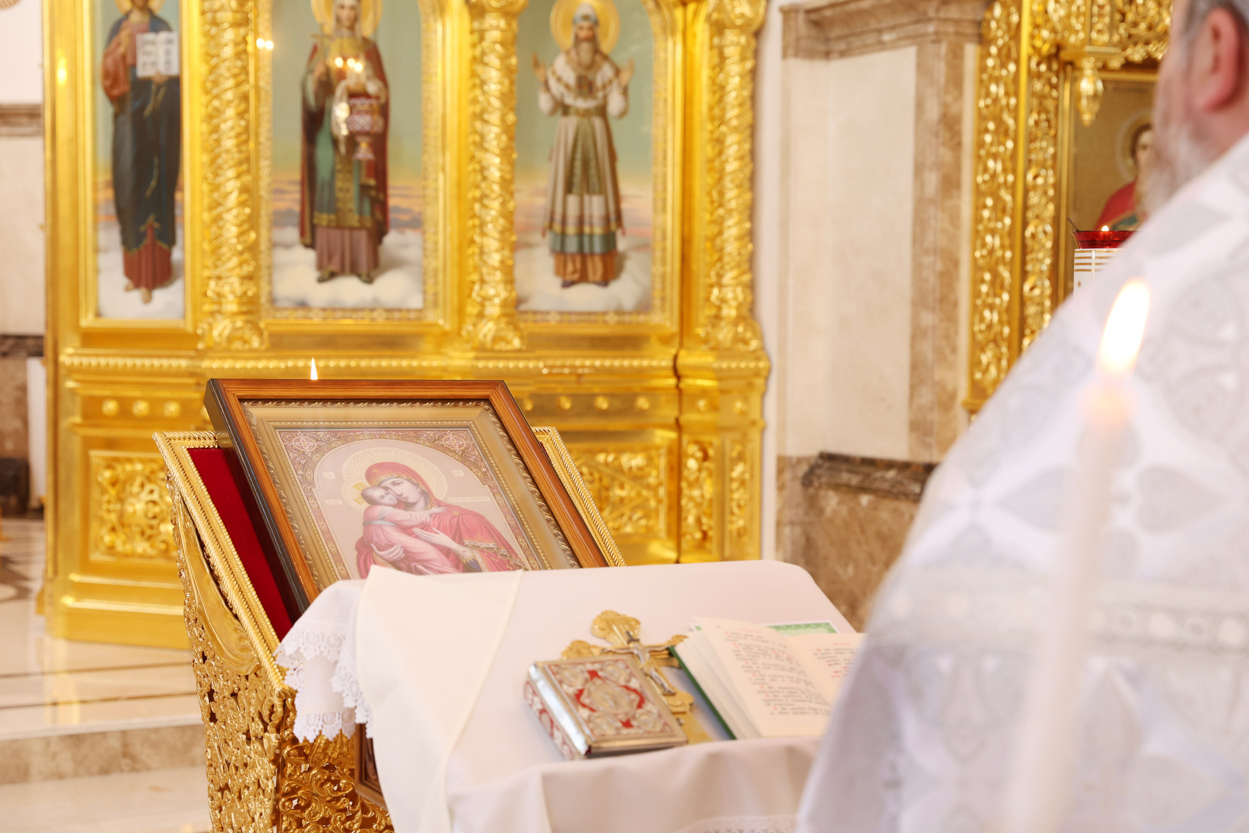 Софья & Григорий. Яна Чхан — Фотограф в Донецке и не только