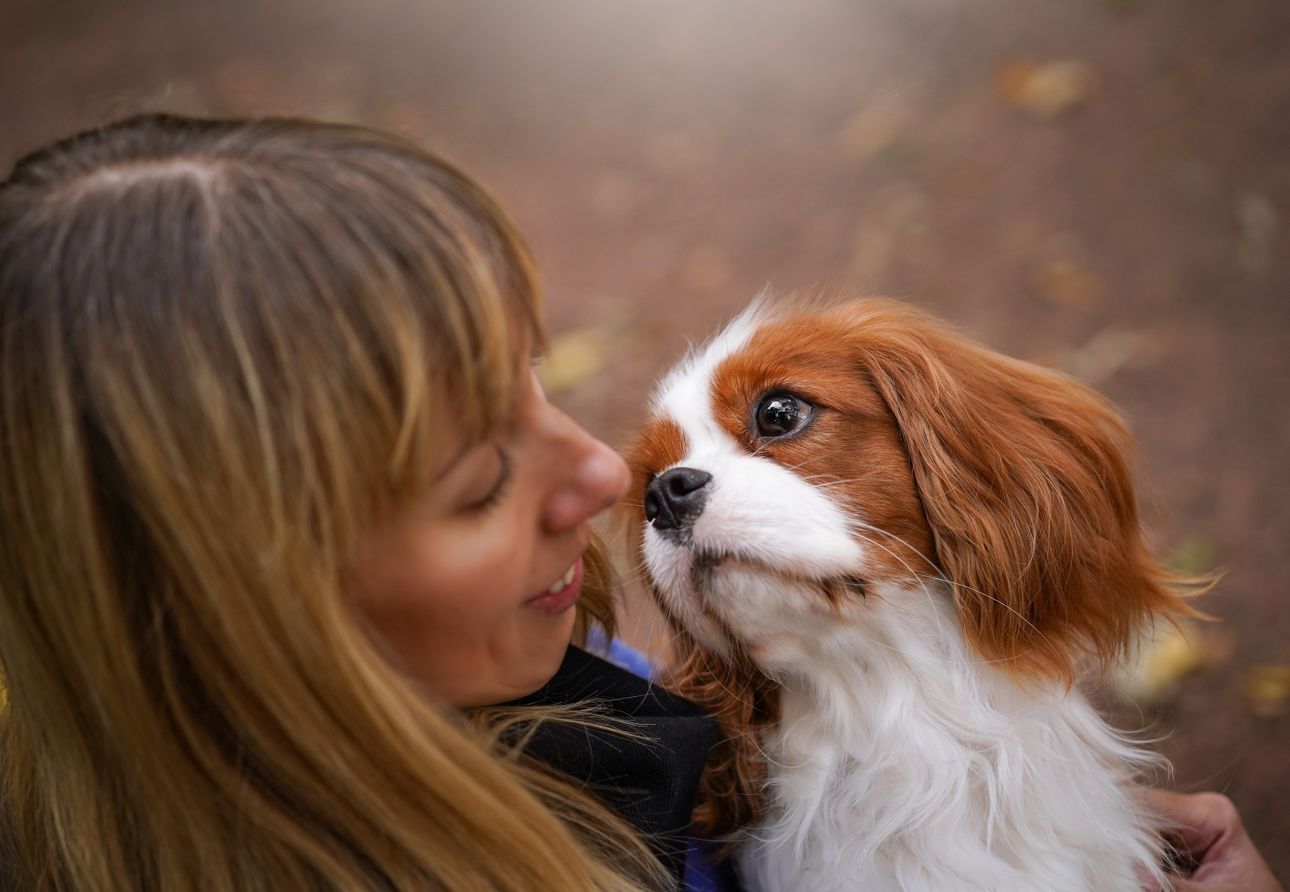 Катя Валера Саша и кавалерчики. Фотограф-анималист в Санкт-Петербурге Яна Мартынова