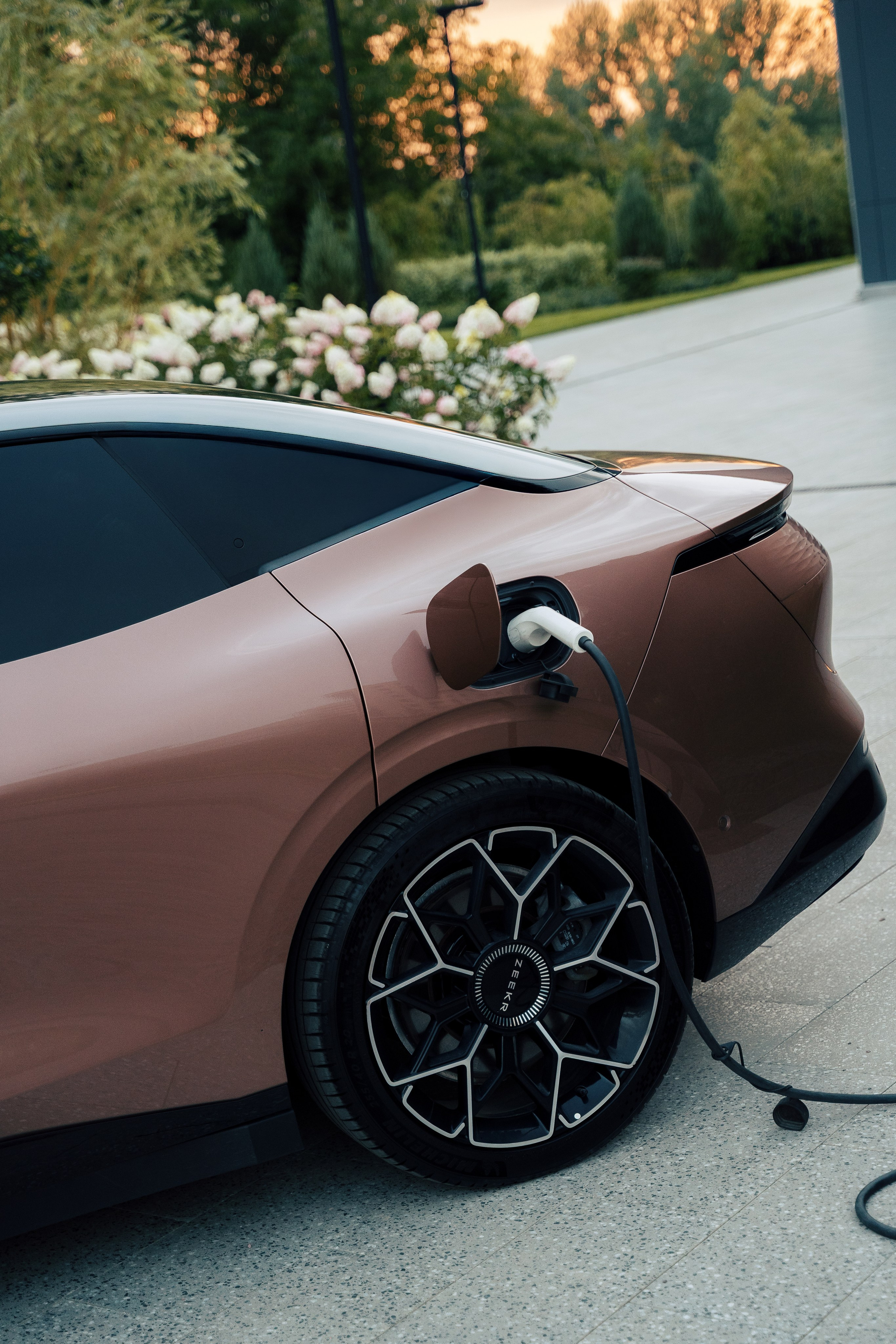 Edison Solo х Vetcity Clinic. Профессиональный фотограф и оператор в Москве — Максим Проценко