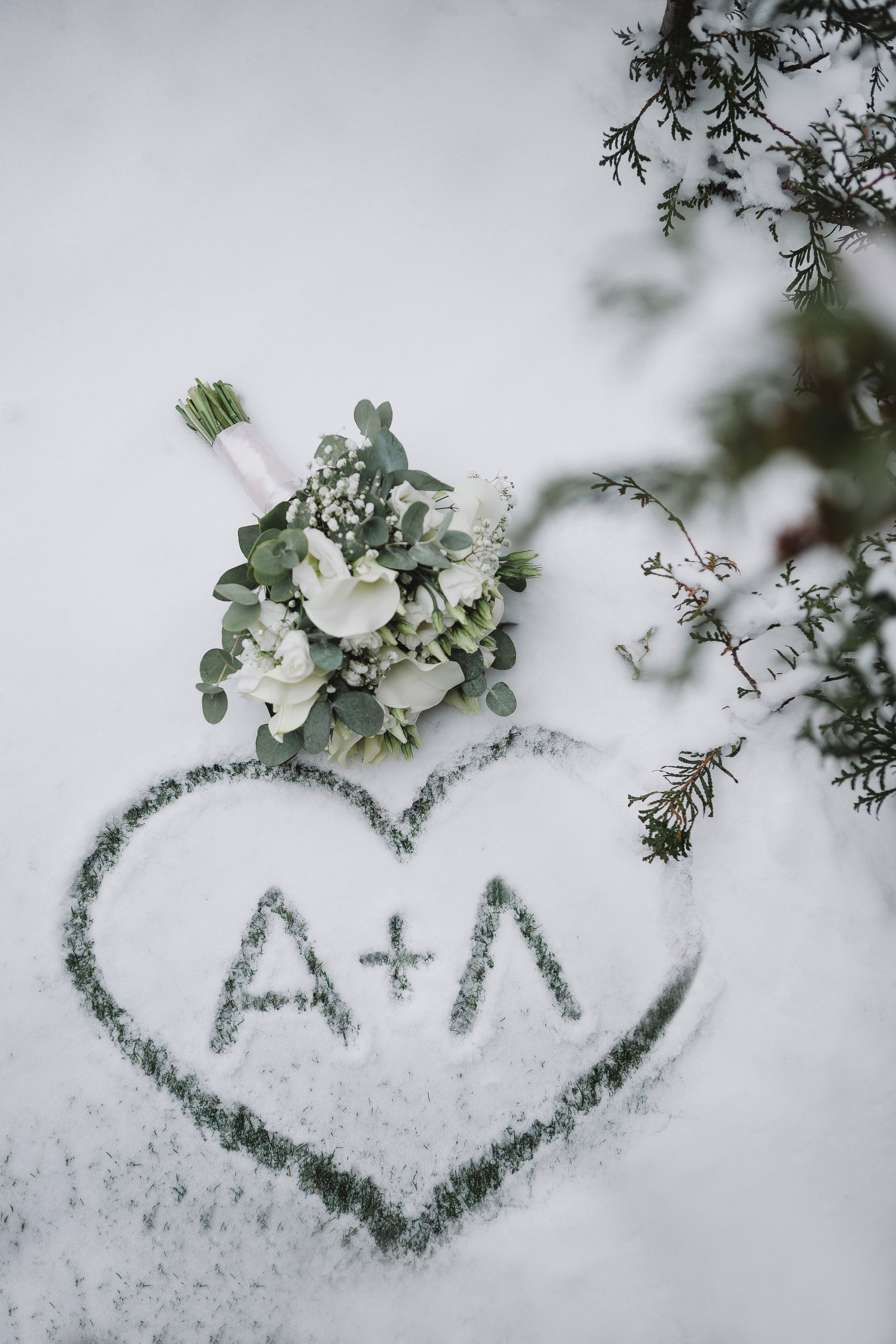 Свадьба Артёма и Лилии. Фотограф Кольчугино/Владимир/Москва Елизавета Иода