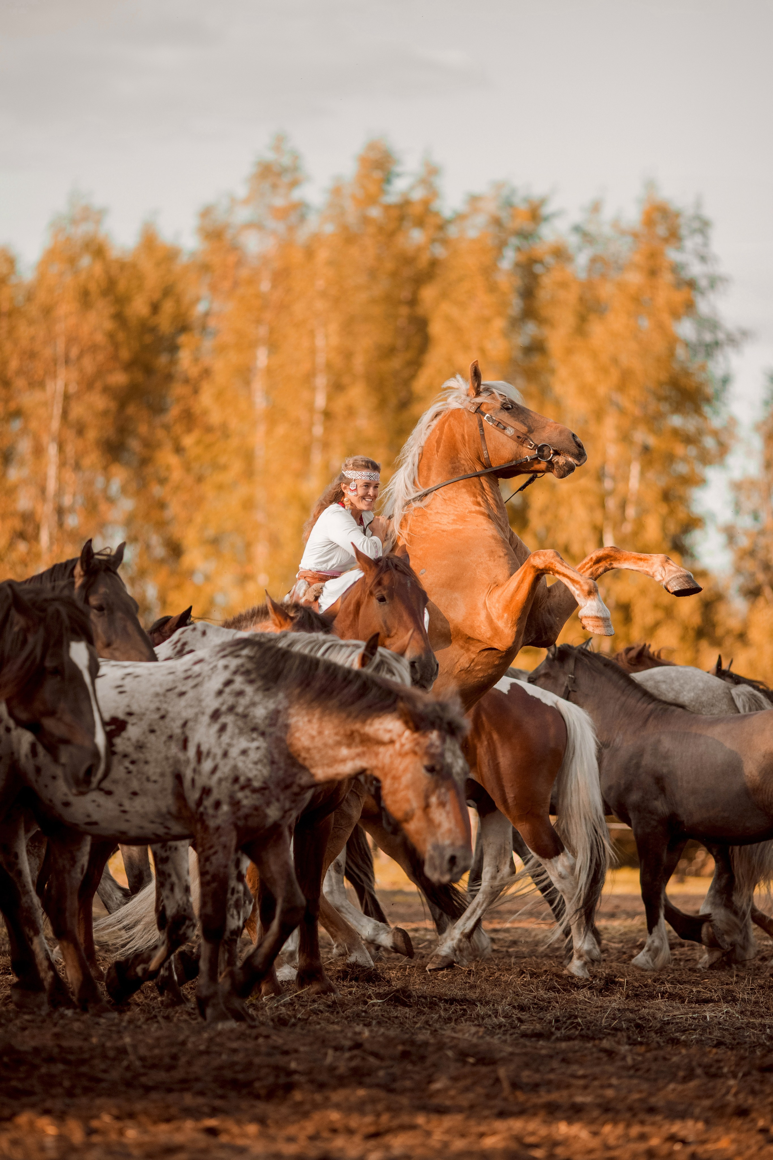 Фотосессия в табуне лошадей