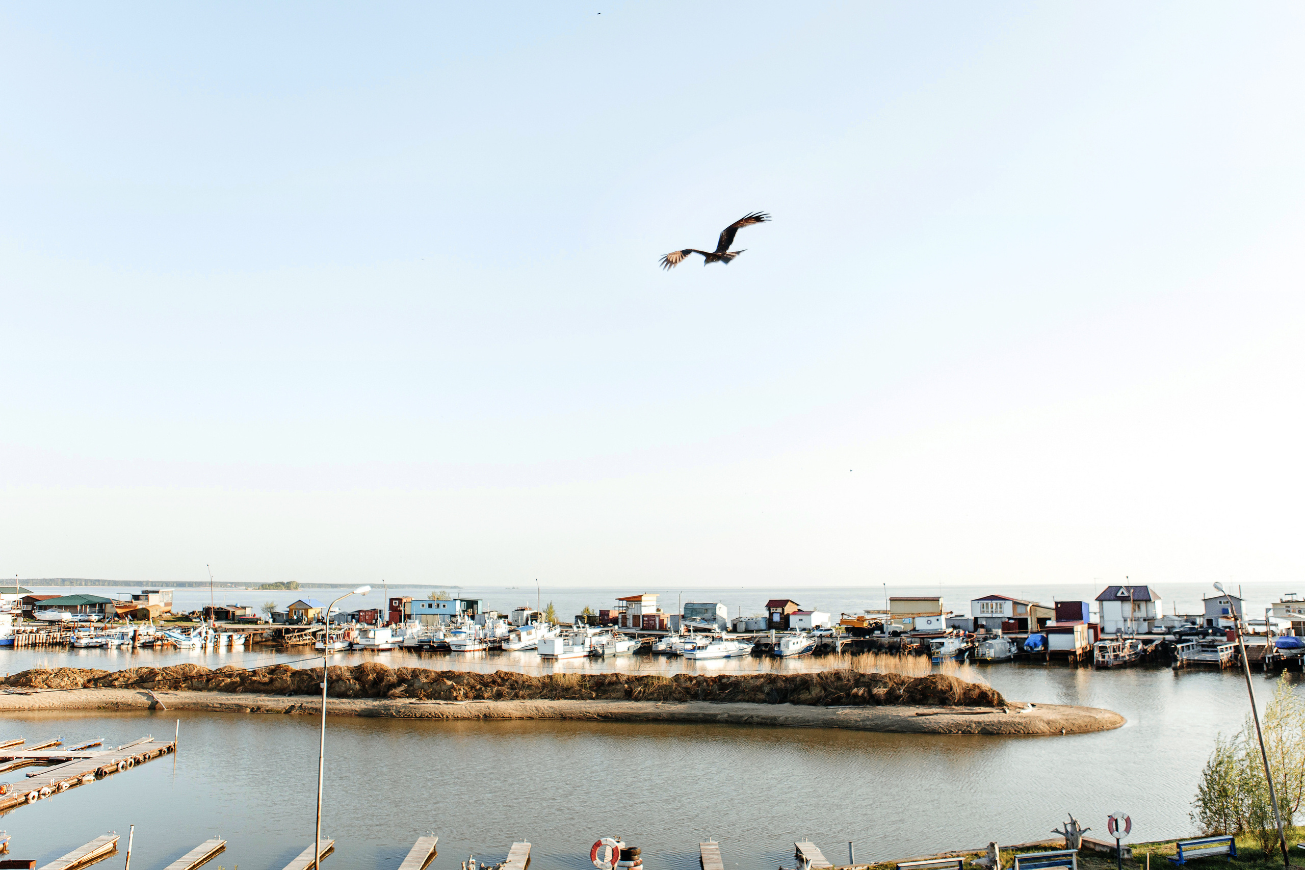 Анастасия + Александр. Кадочников Михаил фотограф Новосибирск