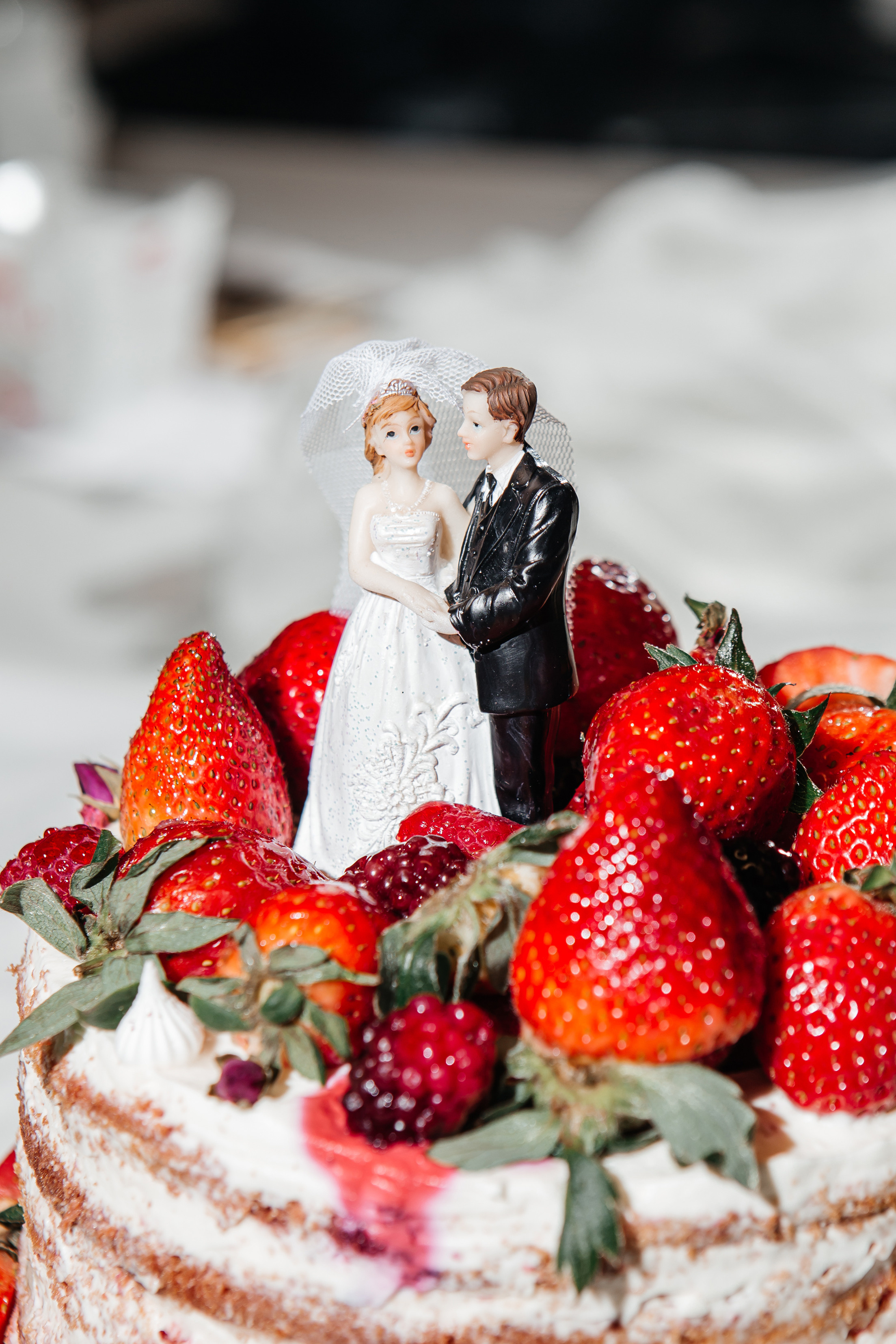 Ирина + Александр. Кадочников Михаил фотограф Новосибирск