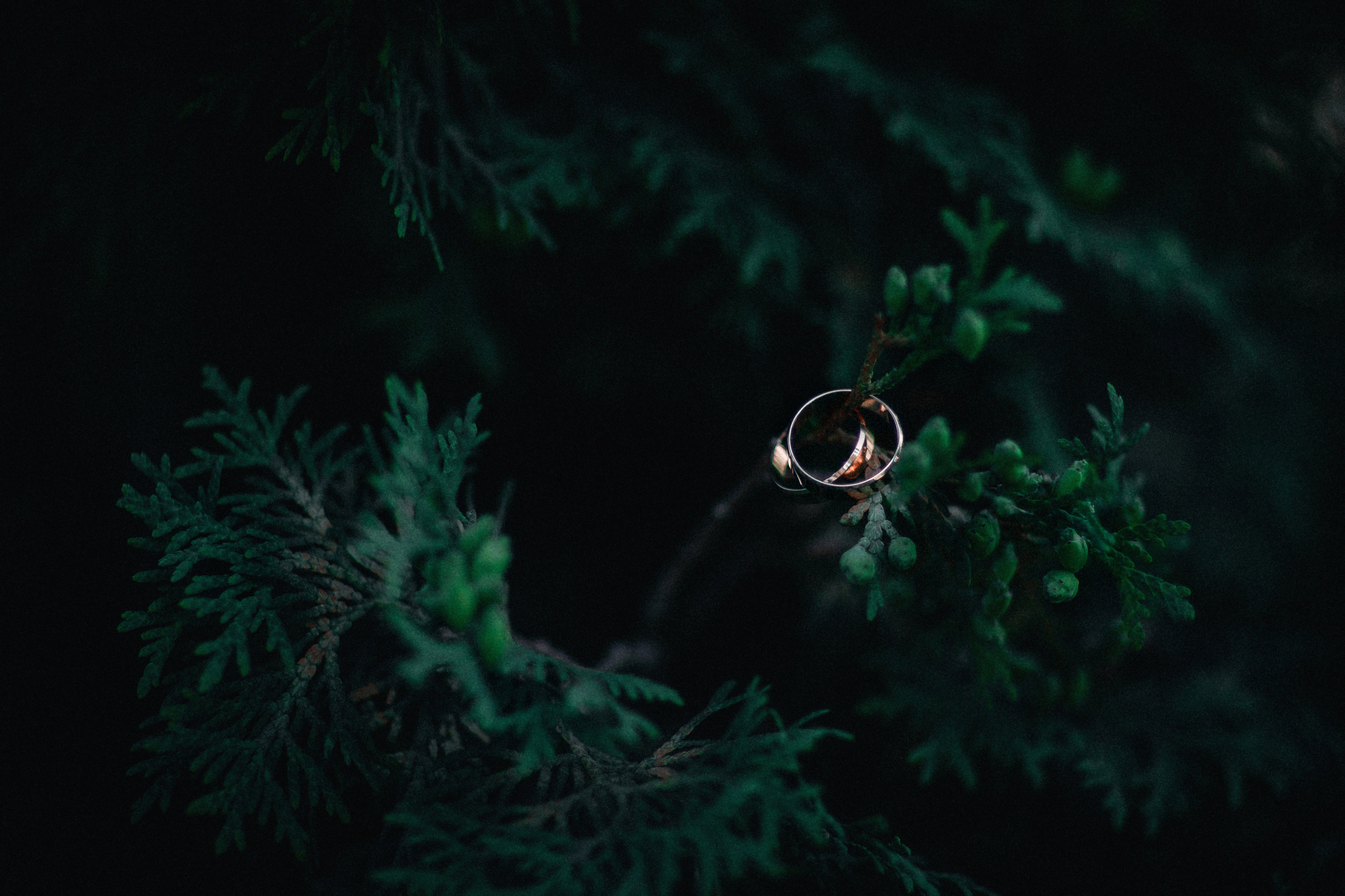 Алла + Дмитрий. Кадочников Михаил фотограф Новосибирск