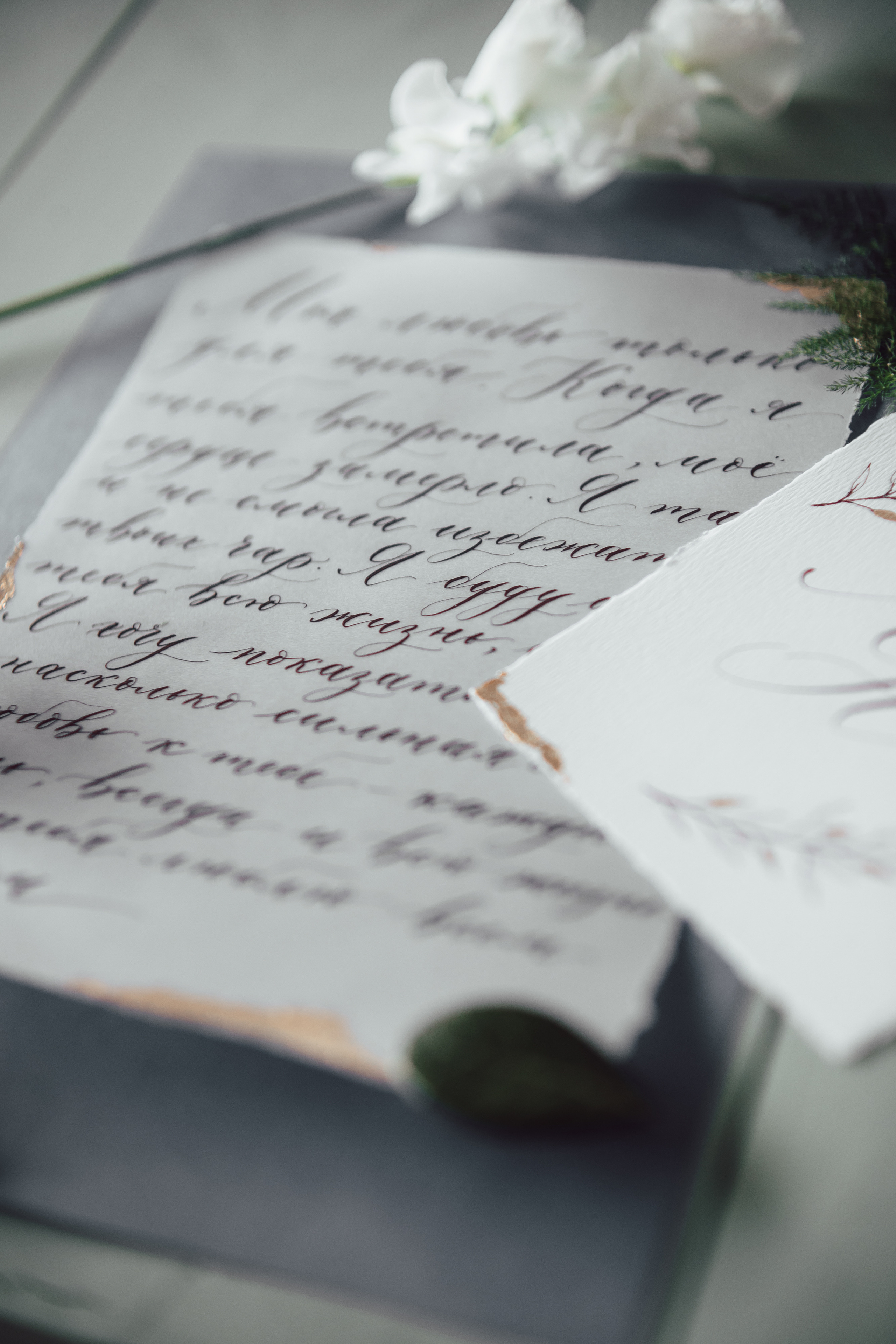 Леонид + Наталья. Кадочников Михаил фотограф Новосибирск