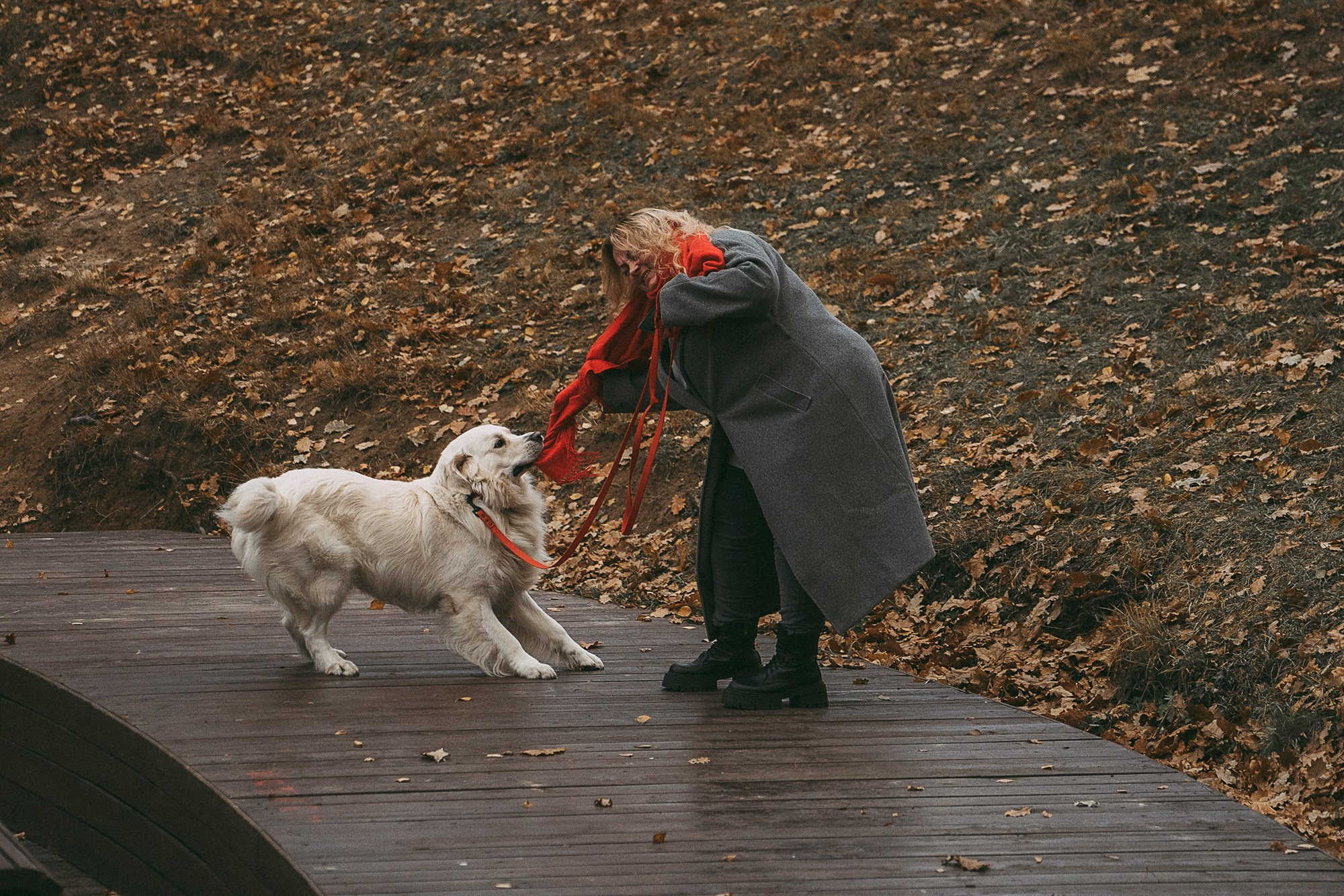 Лена и Мерлин. Фотограф анималист в Москве и Санкт-Петербурге Свиридова Анна