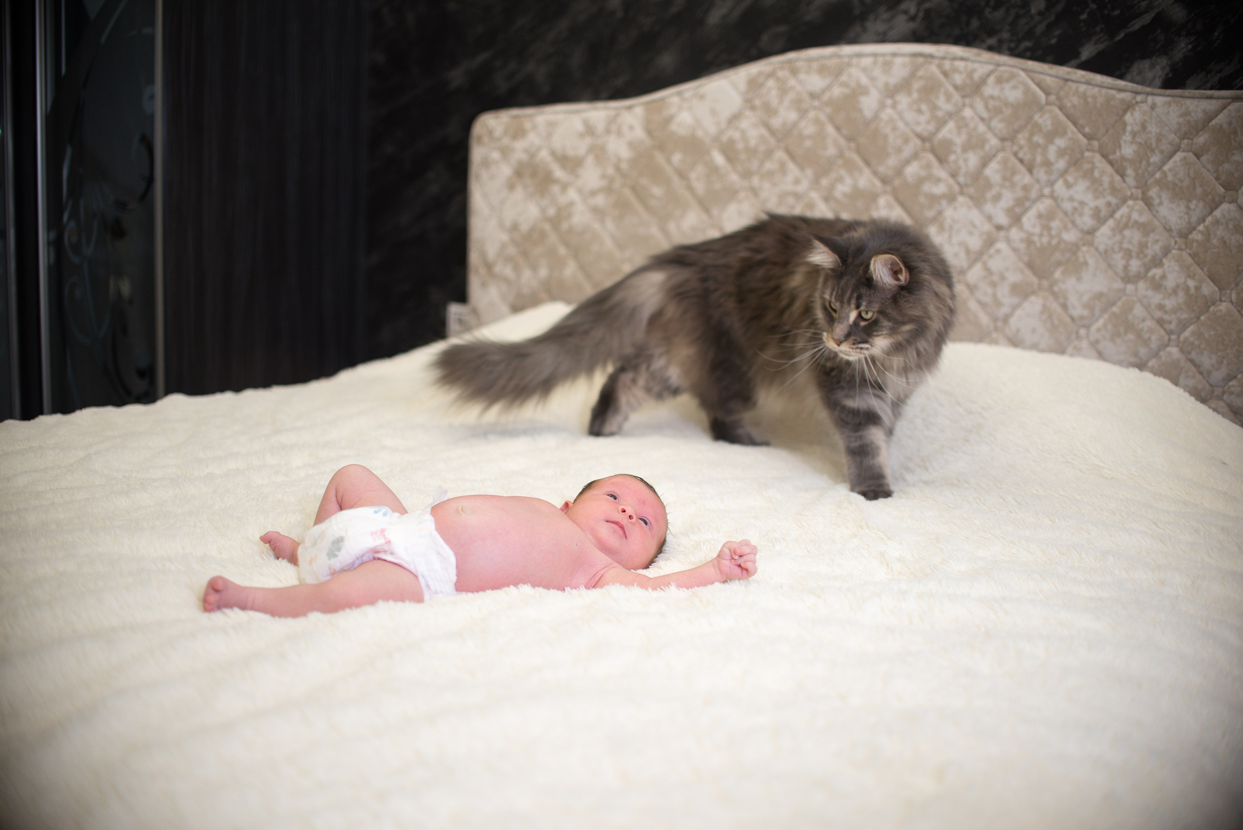 Крошка Манэ дома с родителями. Семейный фотограф на выписку из роддома и крещение Минск Настя Гришук