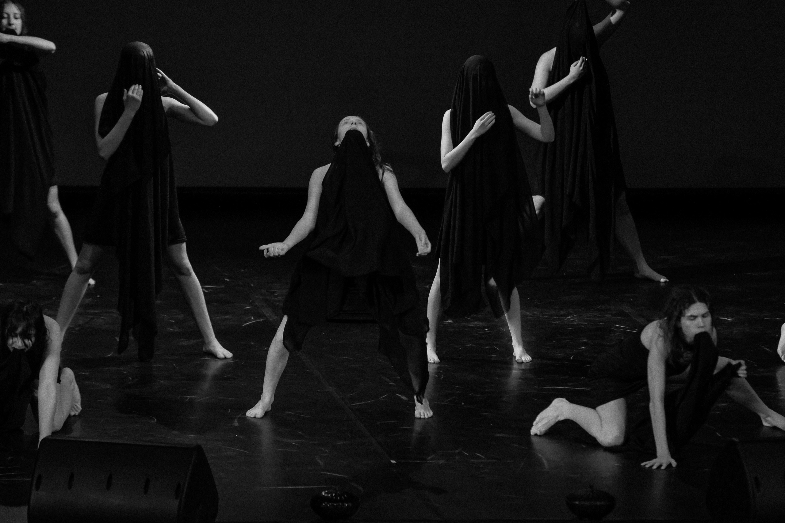 Небесные ласточки на Танц ЭКСПО 2026. Фотограф Юлия Мальцева