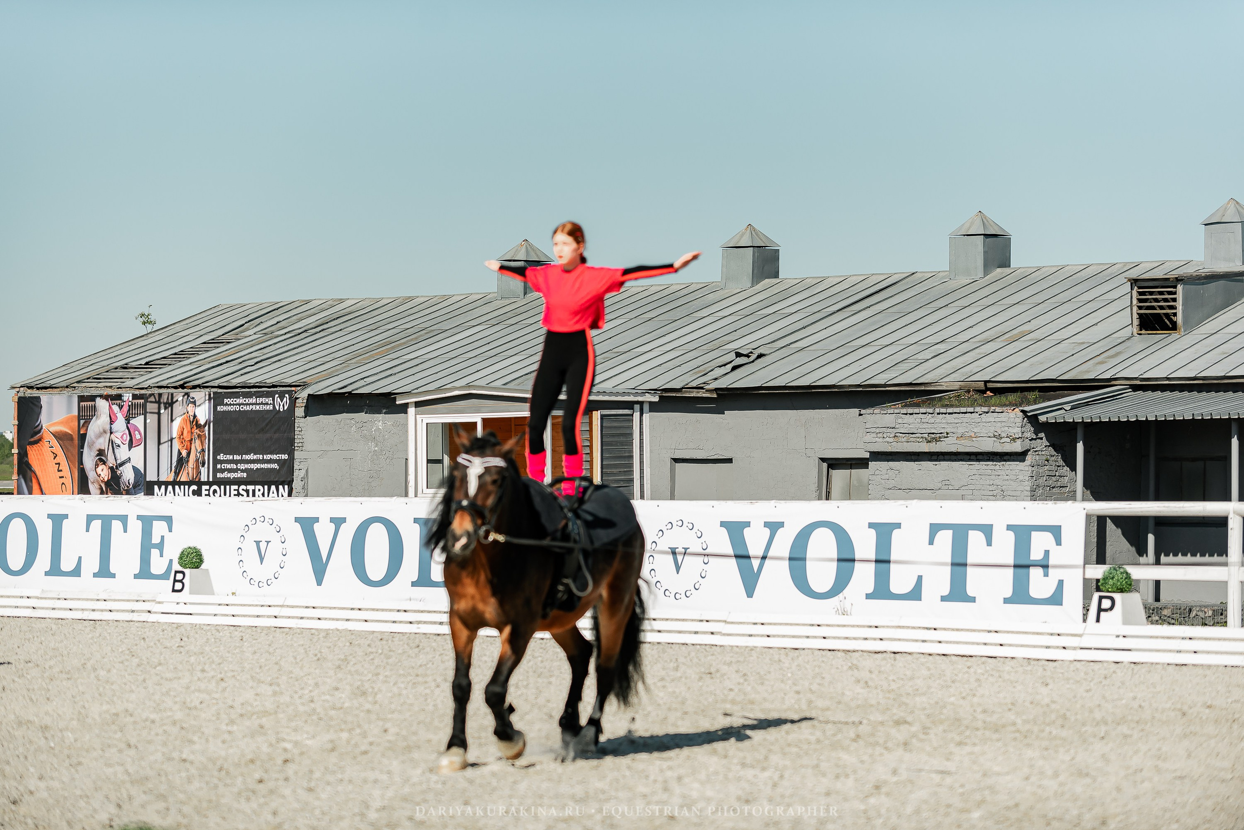 РЕПОРТАЖ МКК ВОЛЬТ «LA TULIPS». Конный фотограф Куракина Дарья • Фотосессии с лошадьми