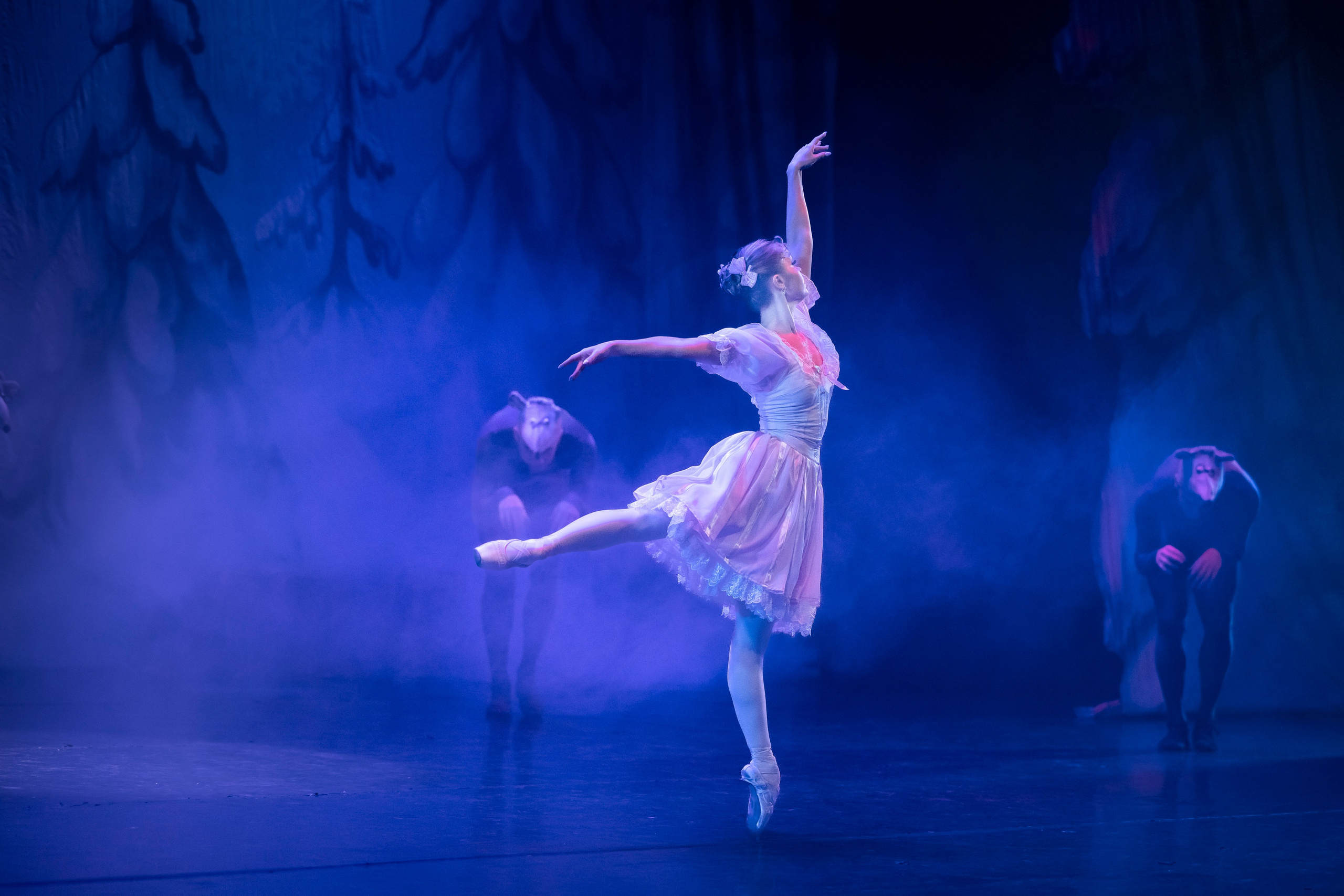 Щелкунчик для Moscow ballet La Classique. Балетный фотограф Москва Майоров Николай