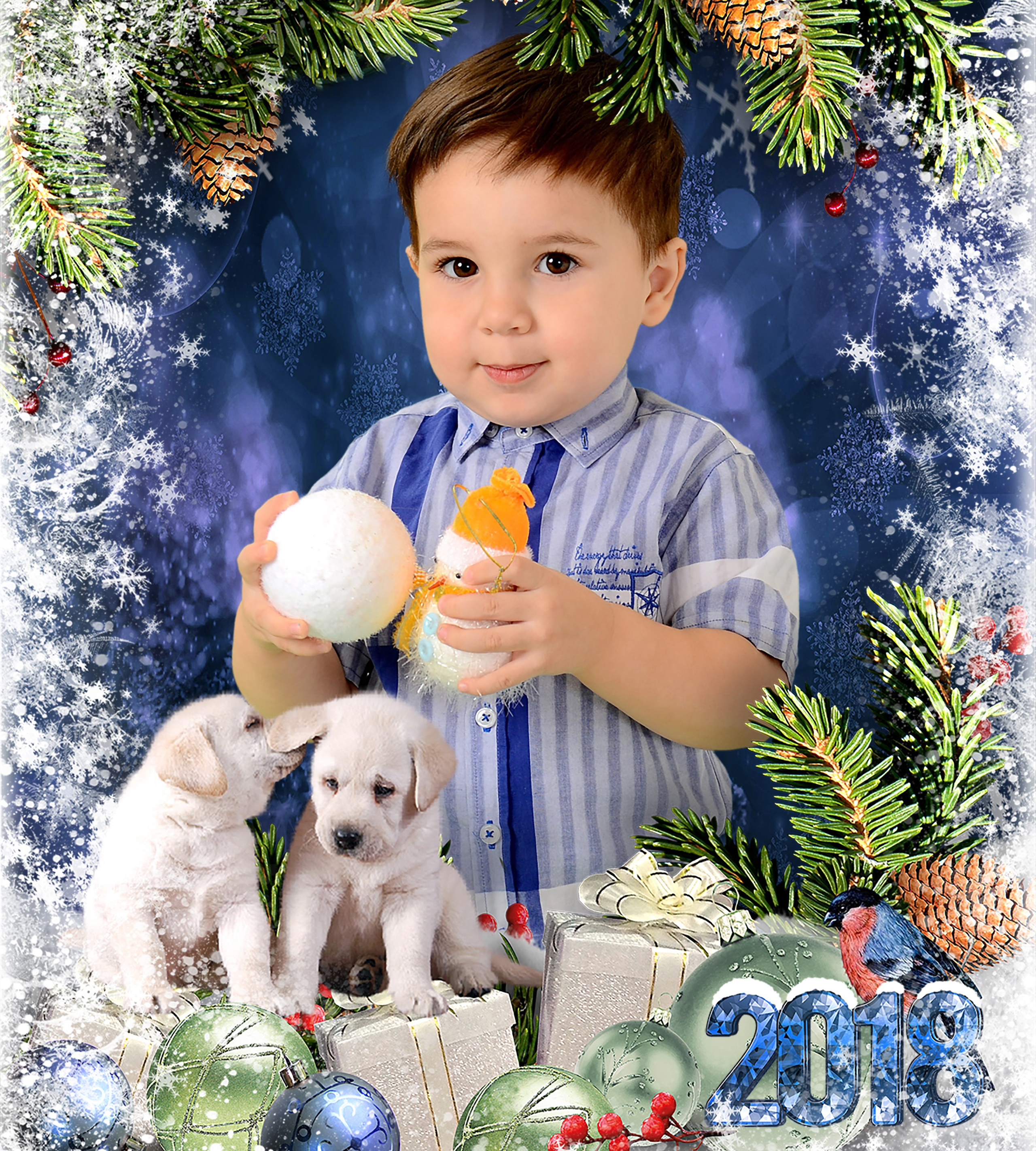 Новый год. Выпускные фотокниги, фотосъемка, видеосъемка в Челябинске и области