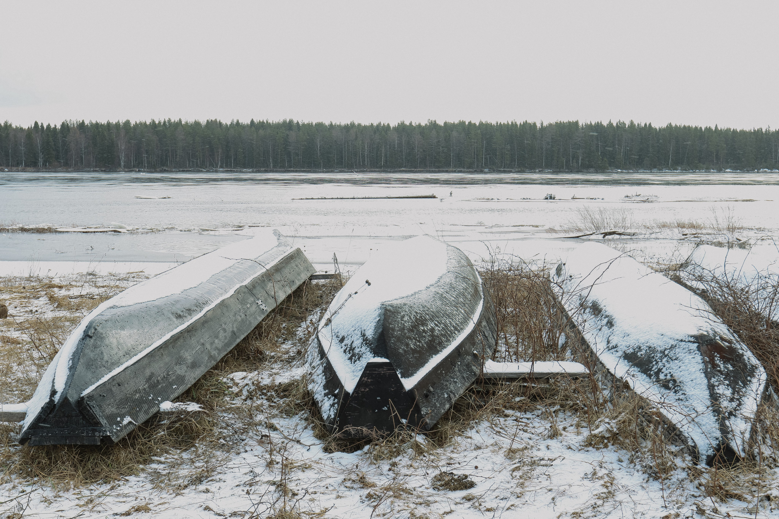 Шулятьева Анна визуальный художник