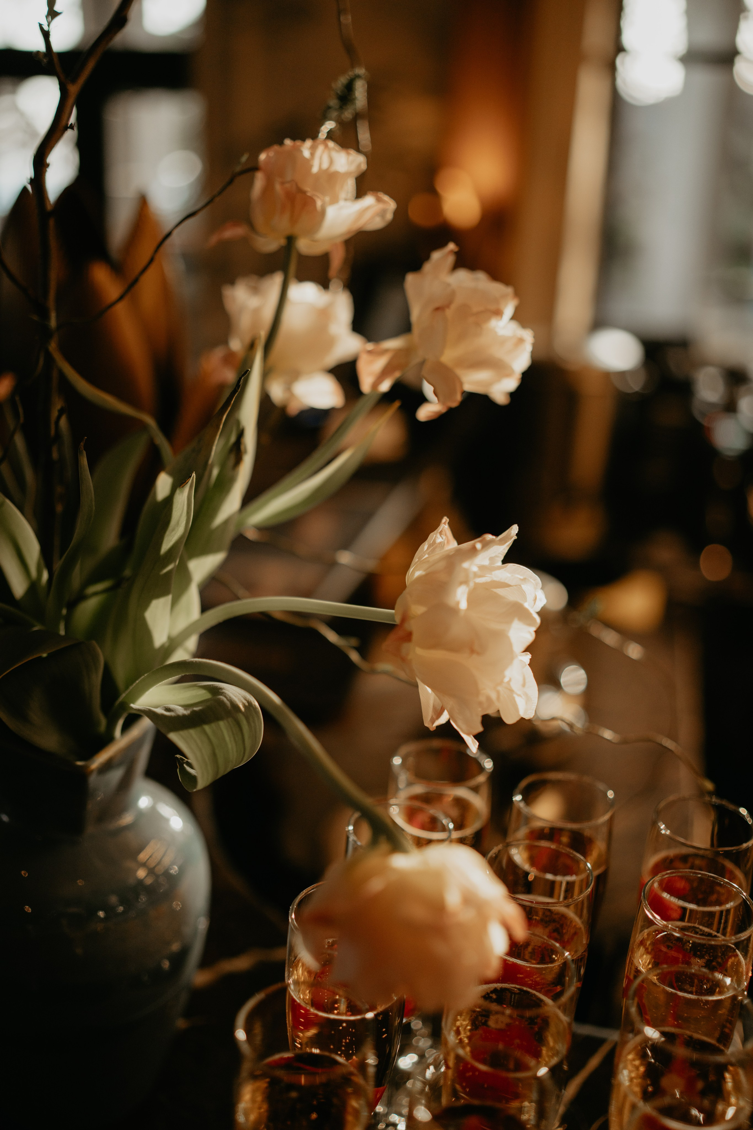 Ужин в Modus. Фотограф и Видеограф Севастополь Крым