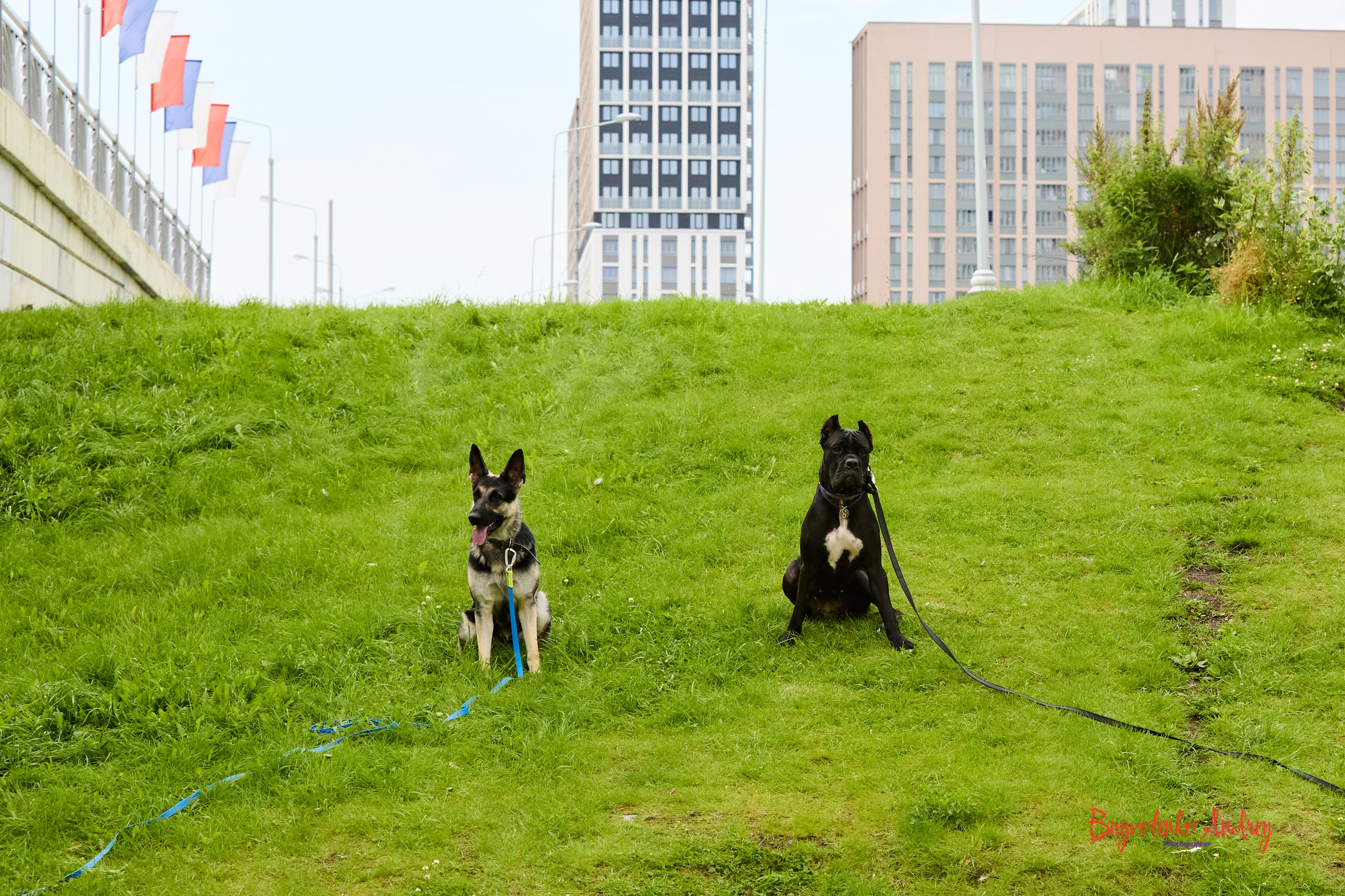 Проект фотопрогулка с хвостиком. Buyvolenko Andrey