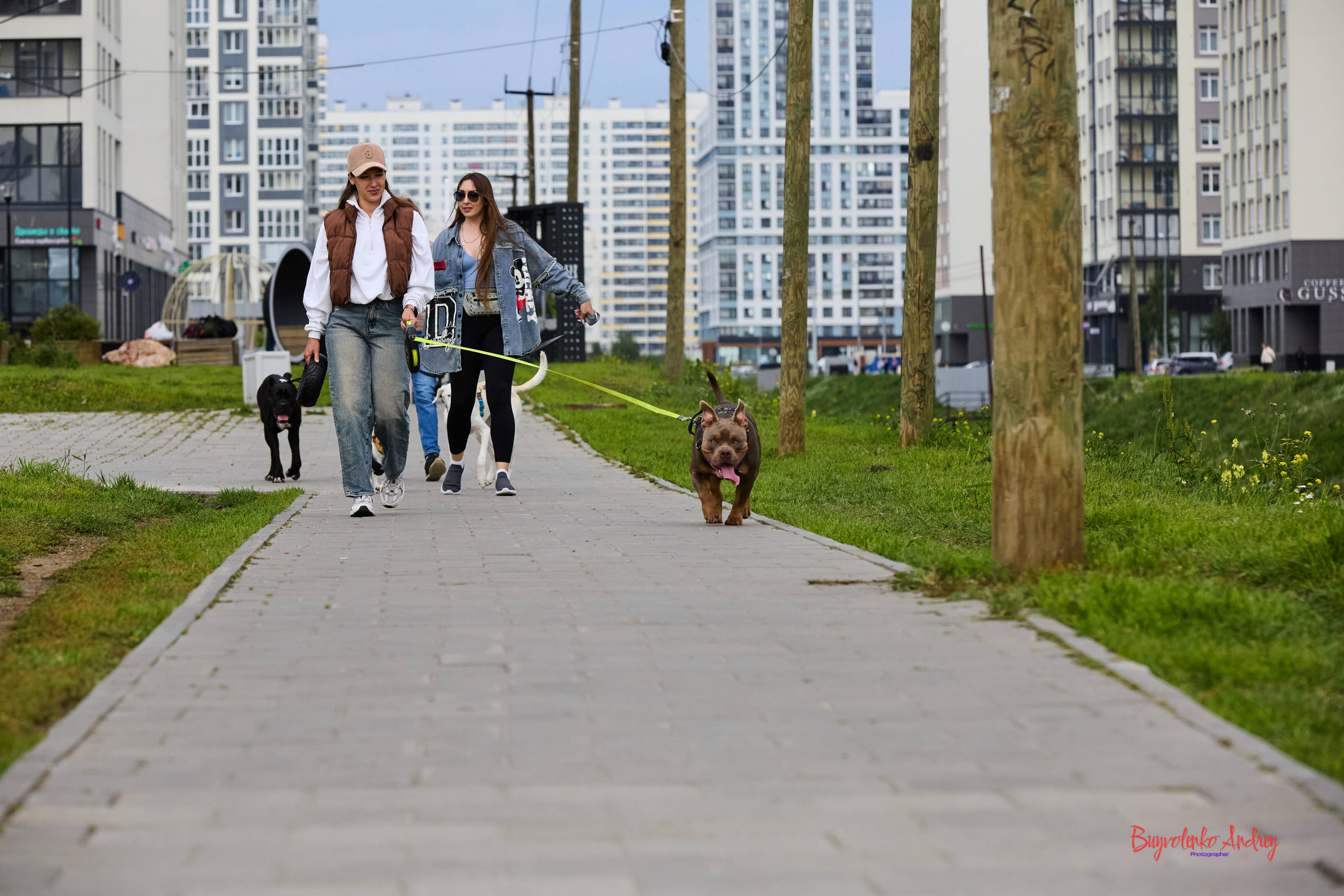 Проект фотопрогулка с хвостиком. Buyvolenko Andrey