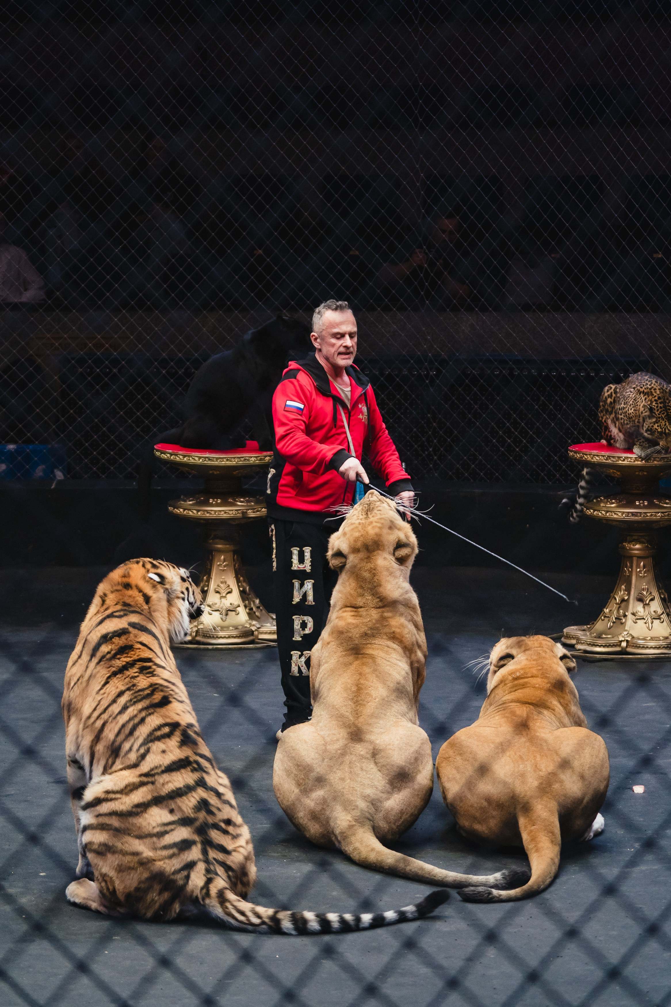 5 Континентов — Открытая репетиция. Воробьева Ксения — Спортивный и танцевальный фотограф Новосибирск