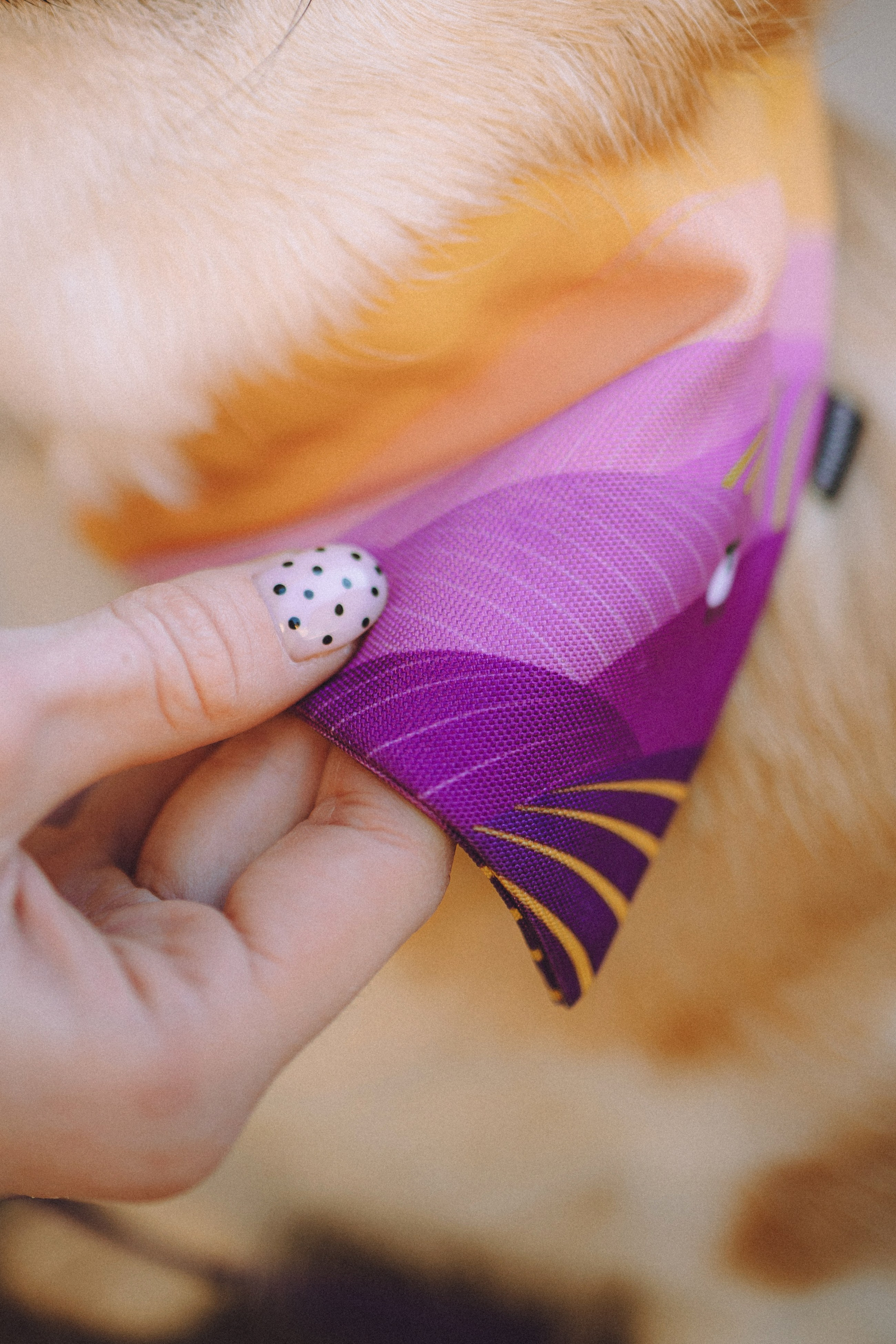 Вика и Мейзи