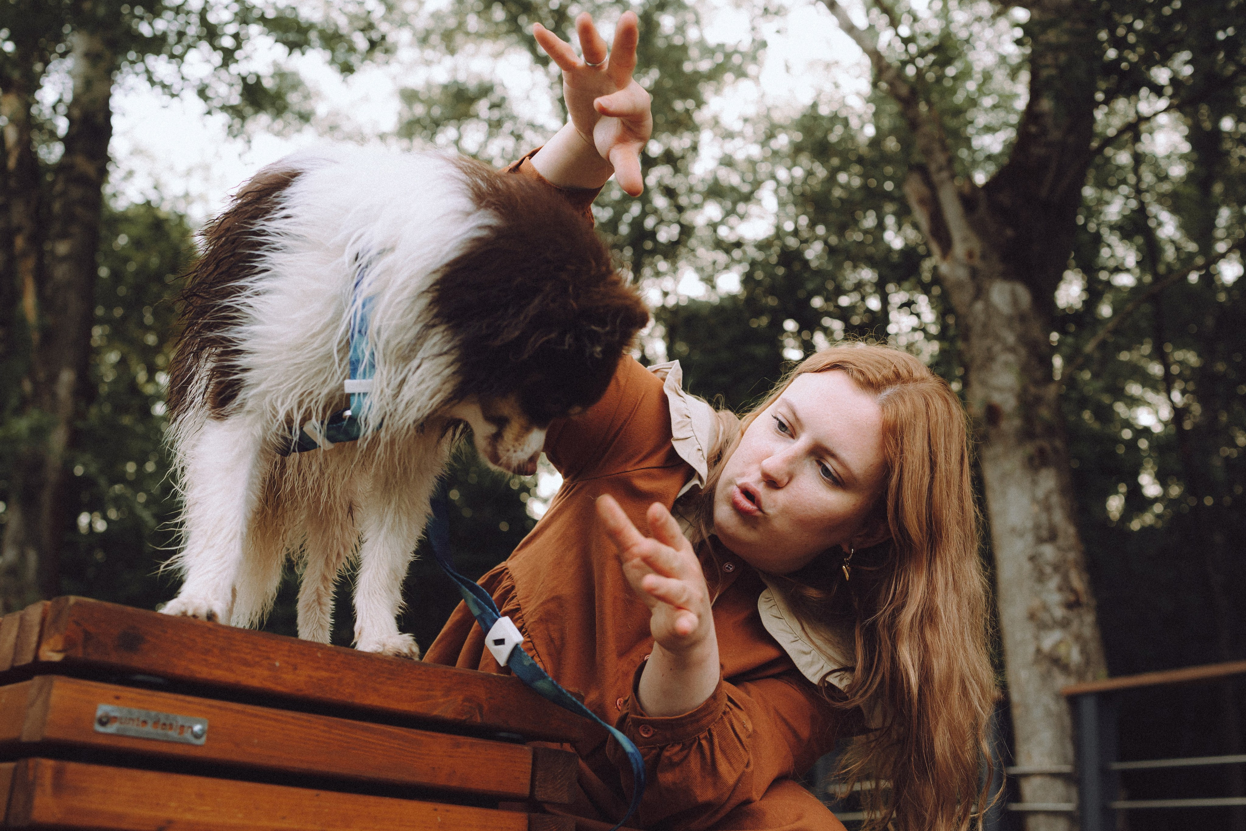 Фифа, Кнопка, Бублик и их семья