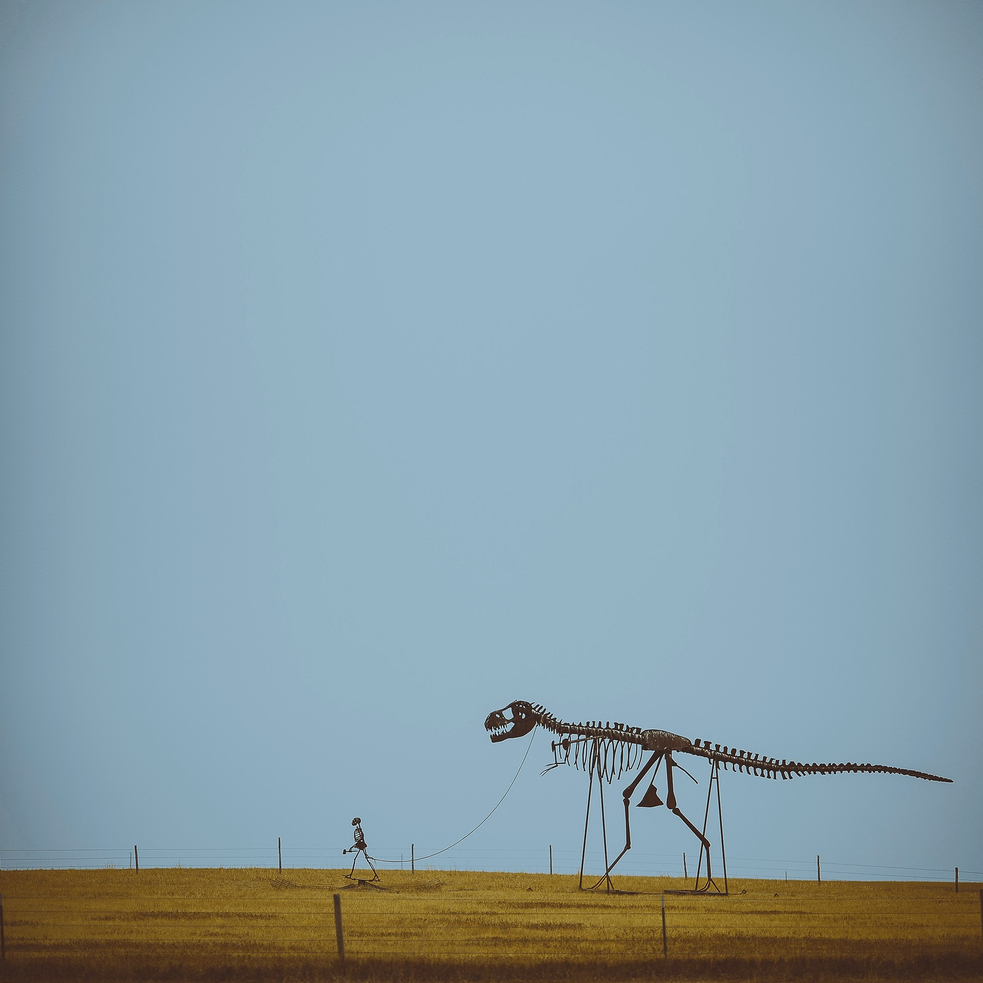 Пространство. Промышленная и репортажная фотография