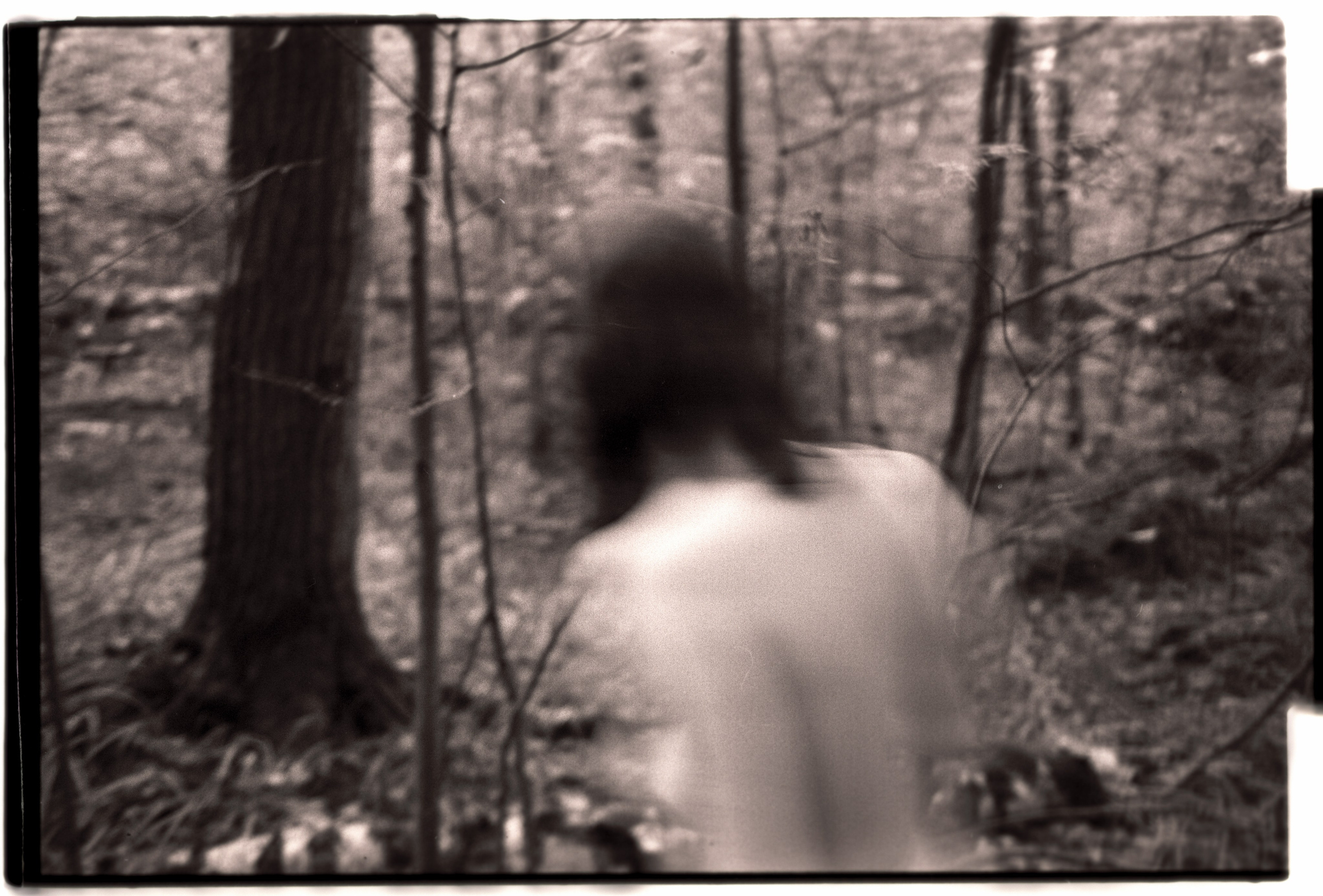 Лесная серия. Kirill Gribov