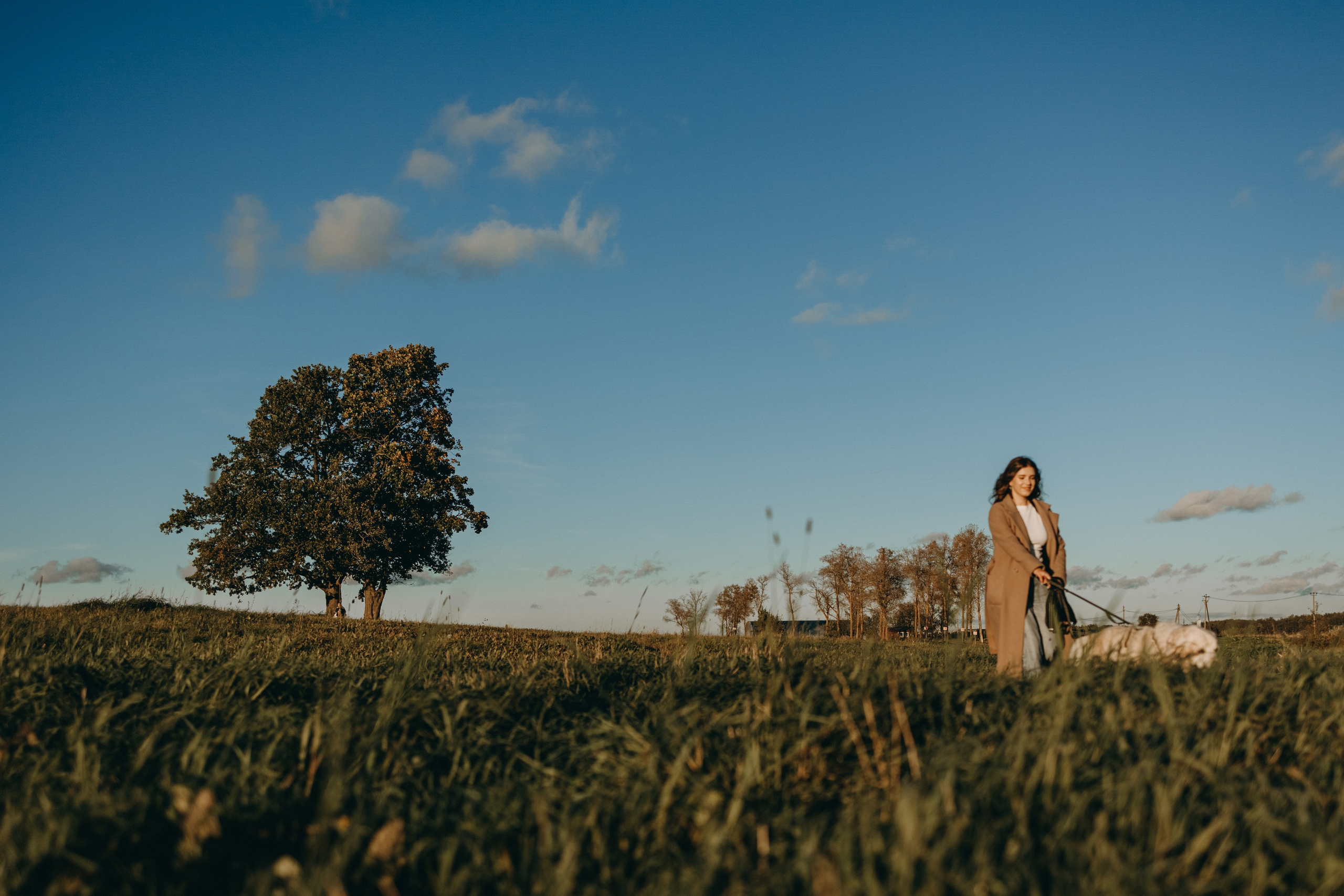 Лера и Скай. Фотограф — Анималист | Санкт-Петербург