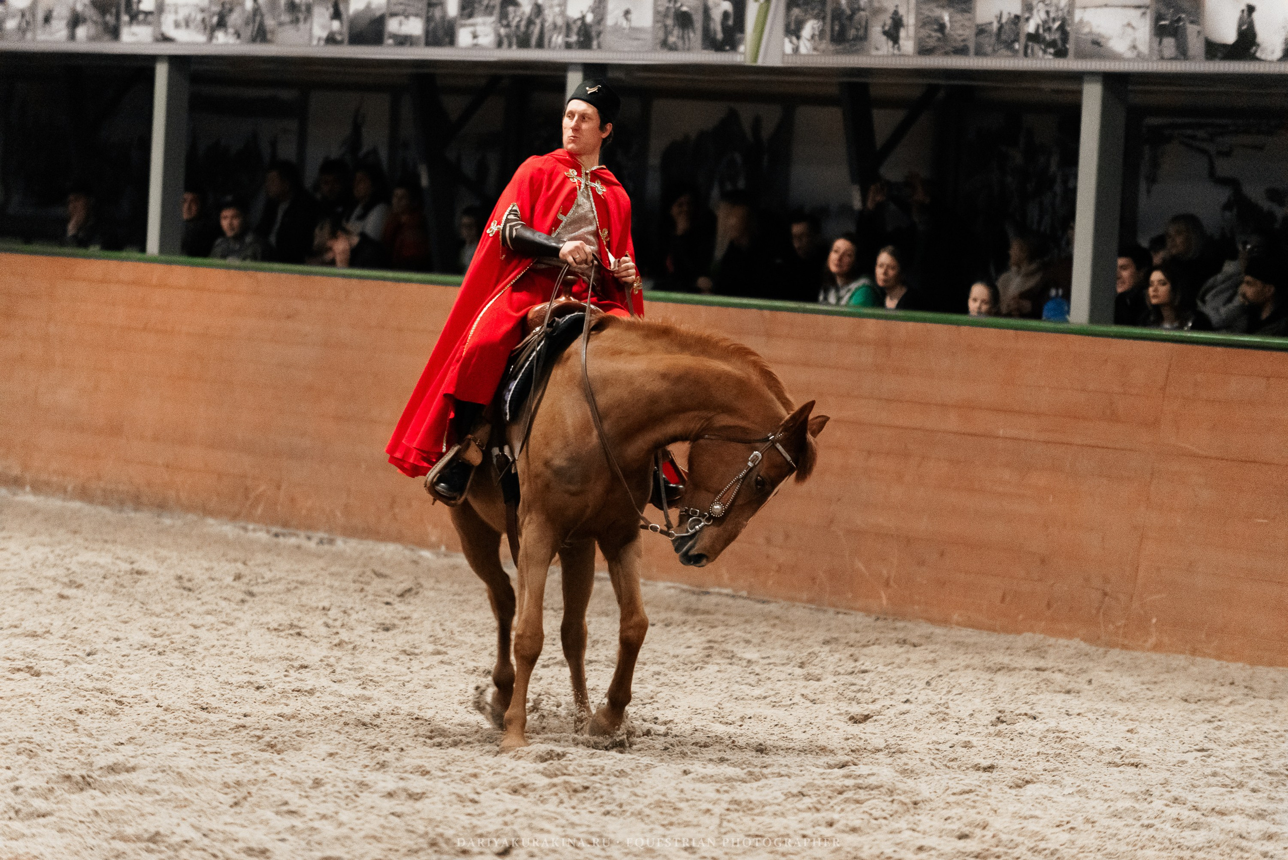 Конное представление «Дыхание Звёзд». Конный фотограф Куракина Дарья • Фотосессии с лошадьми
