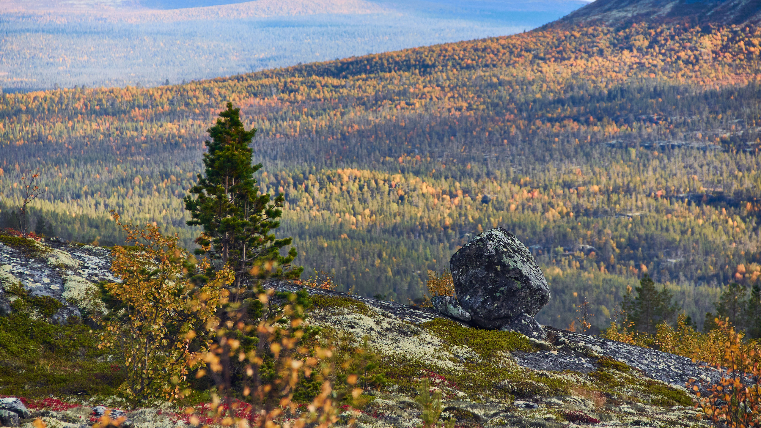 Тундра Лес и Сопки. Пейзажи Крайнего Севера. Баренцево море, Рыбачий, Средний, Немецкий