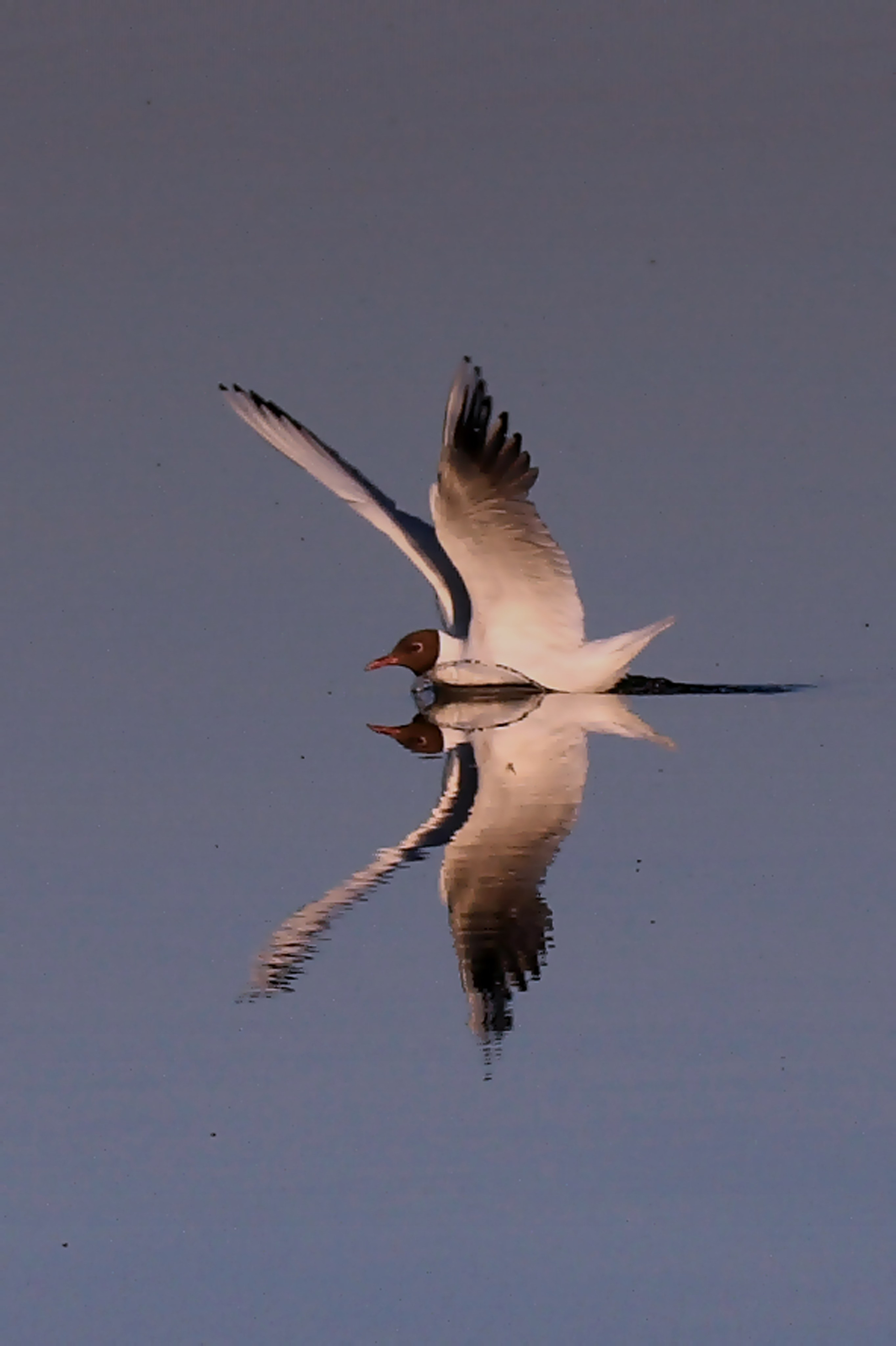 Фото Природы Забайкалья. Студия Максима Белослюдцева