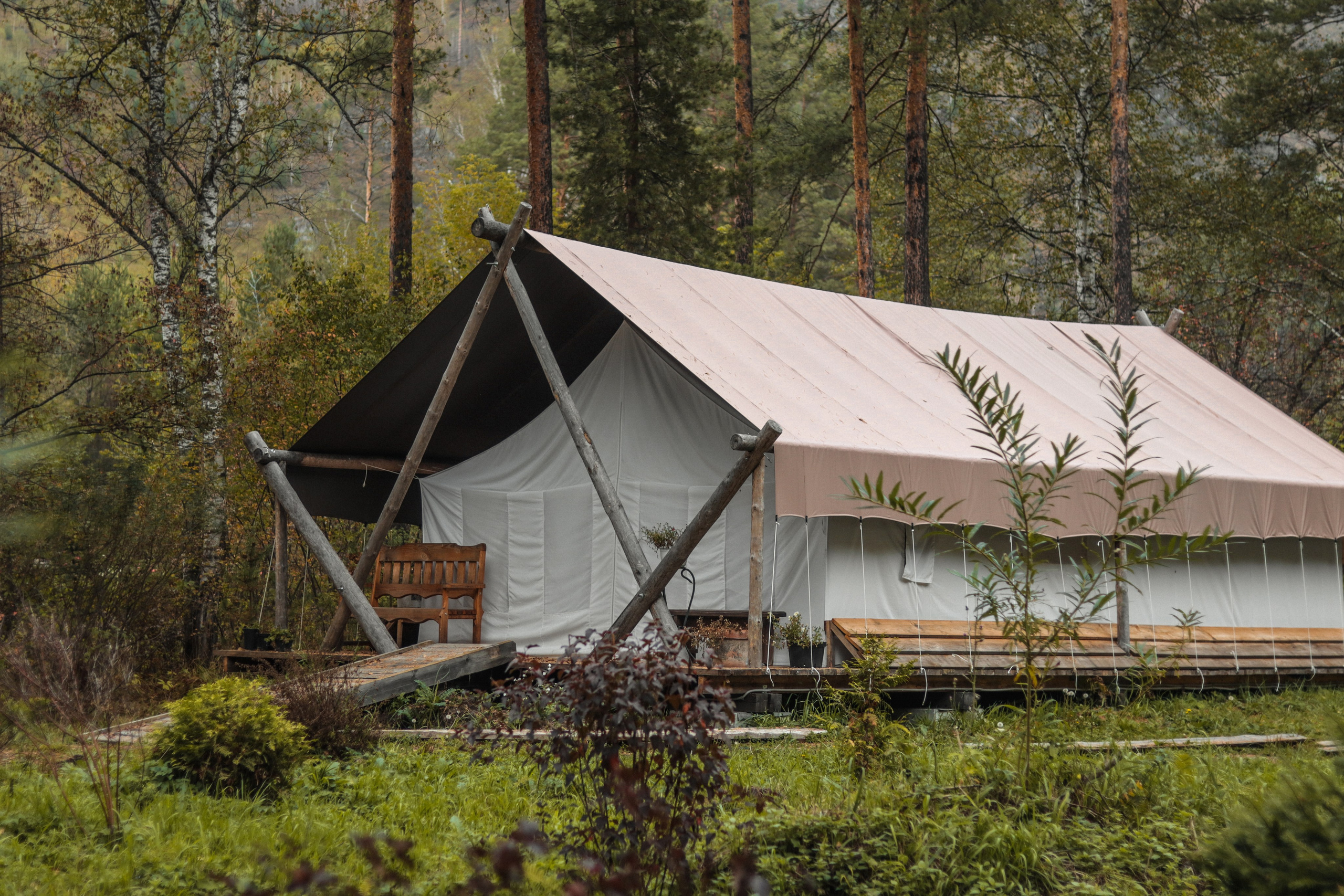 «Сад пионов» эко-отель, респ. Алтай. Контент фотограф Дмитрий Борисов