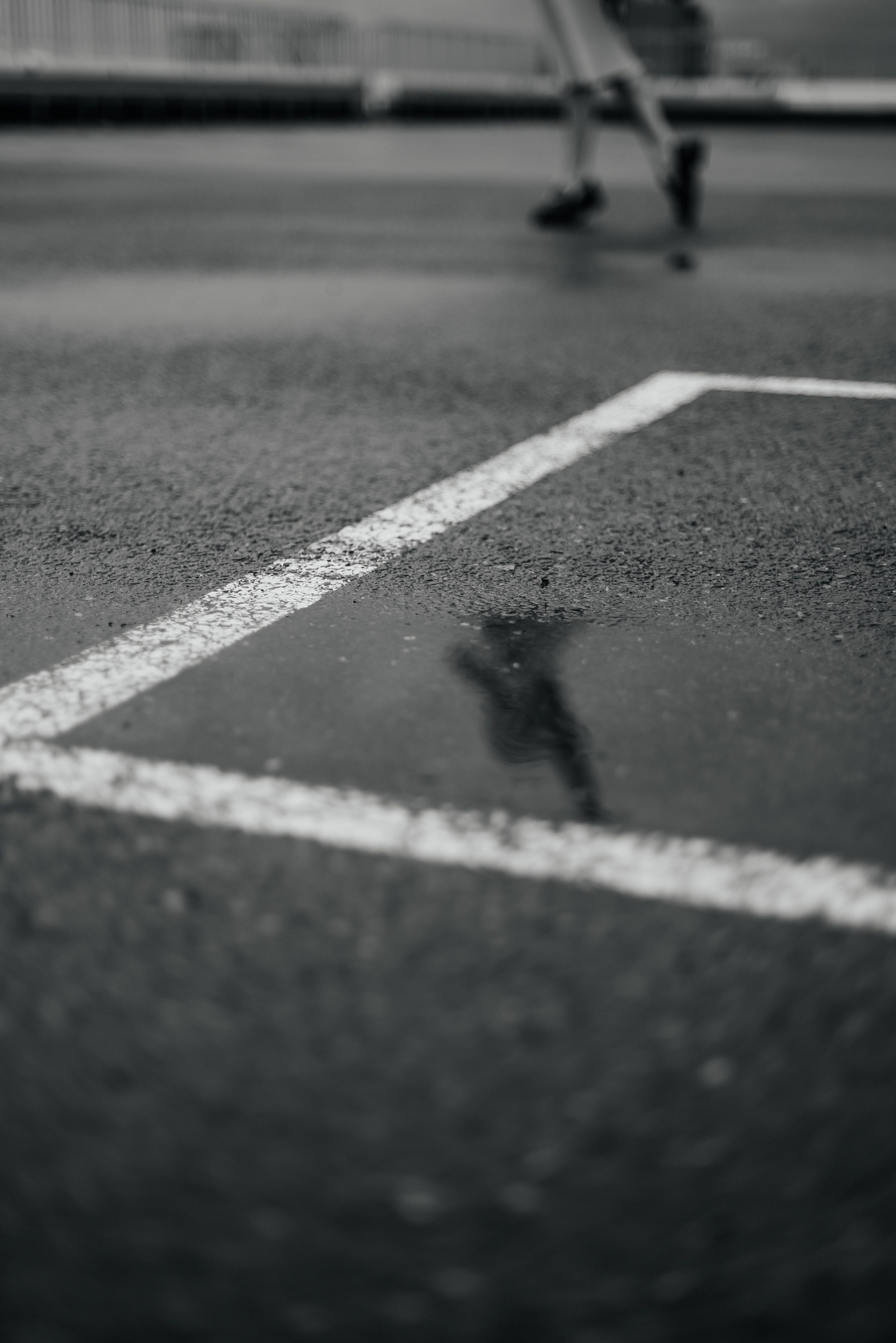 Д&Е. Свадебный фотограф