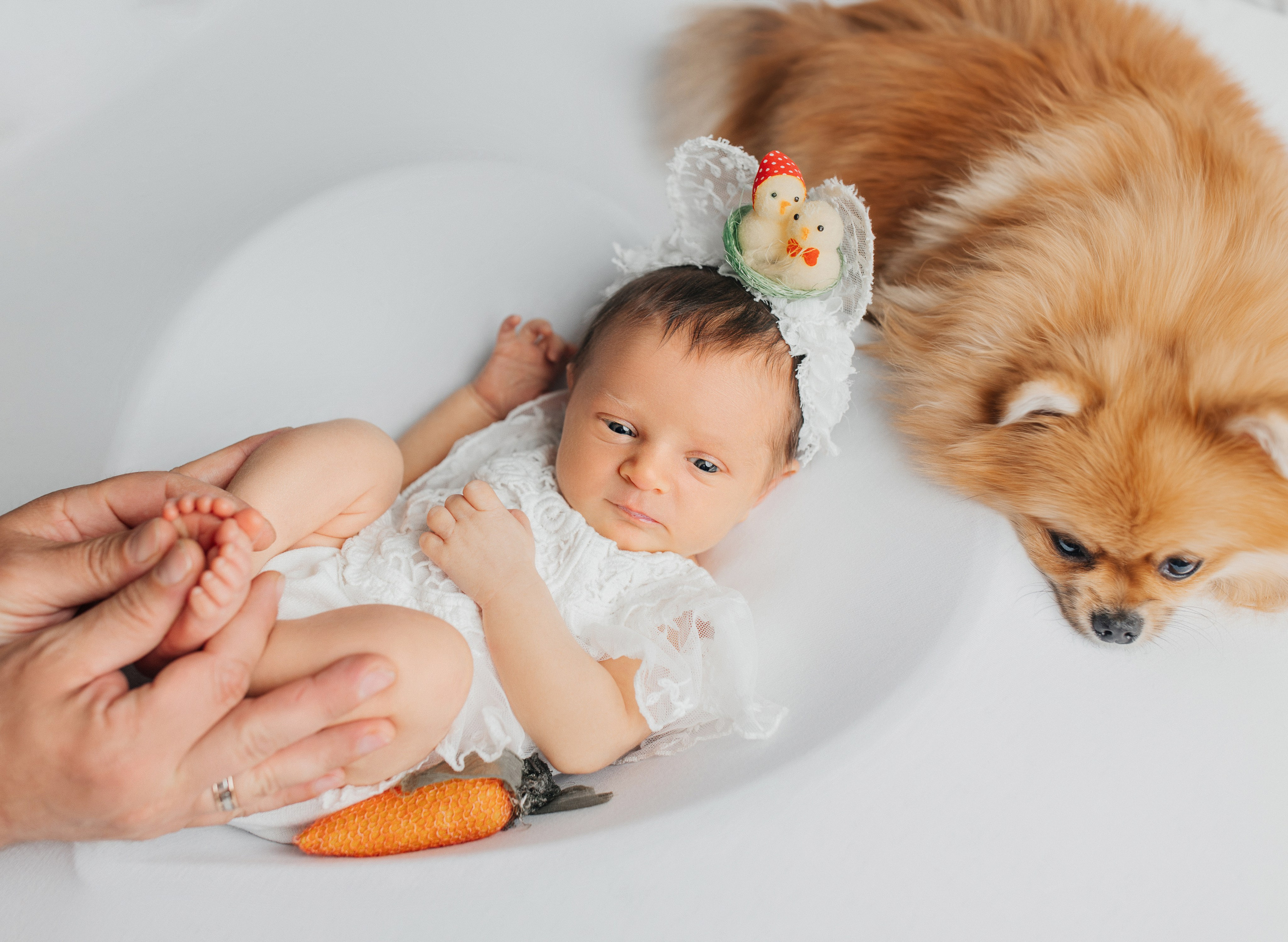 Ваши фото. Самые нежные фотографии
