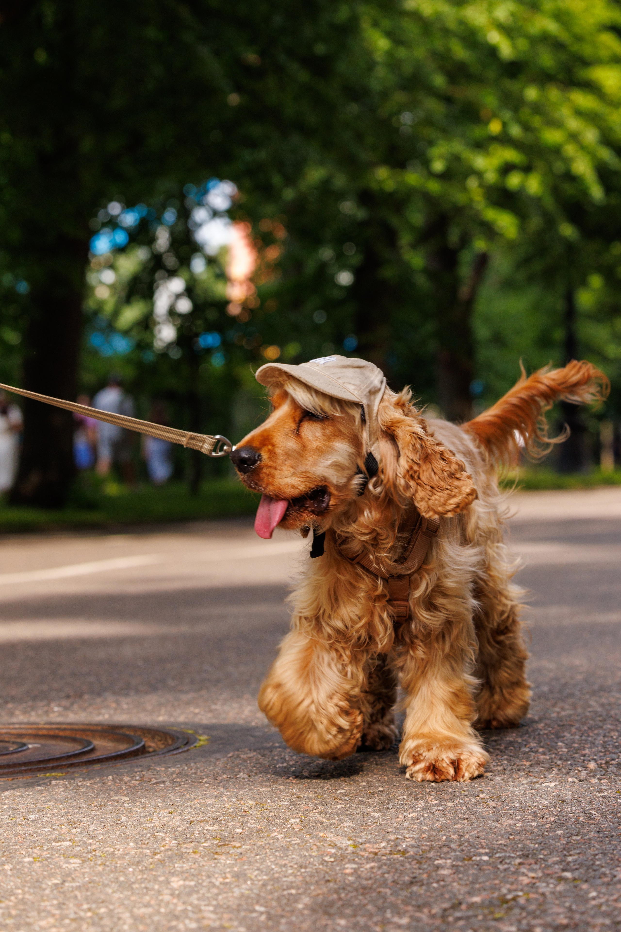 PetShopDays2026. Фотограф Александр Заломаев