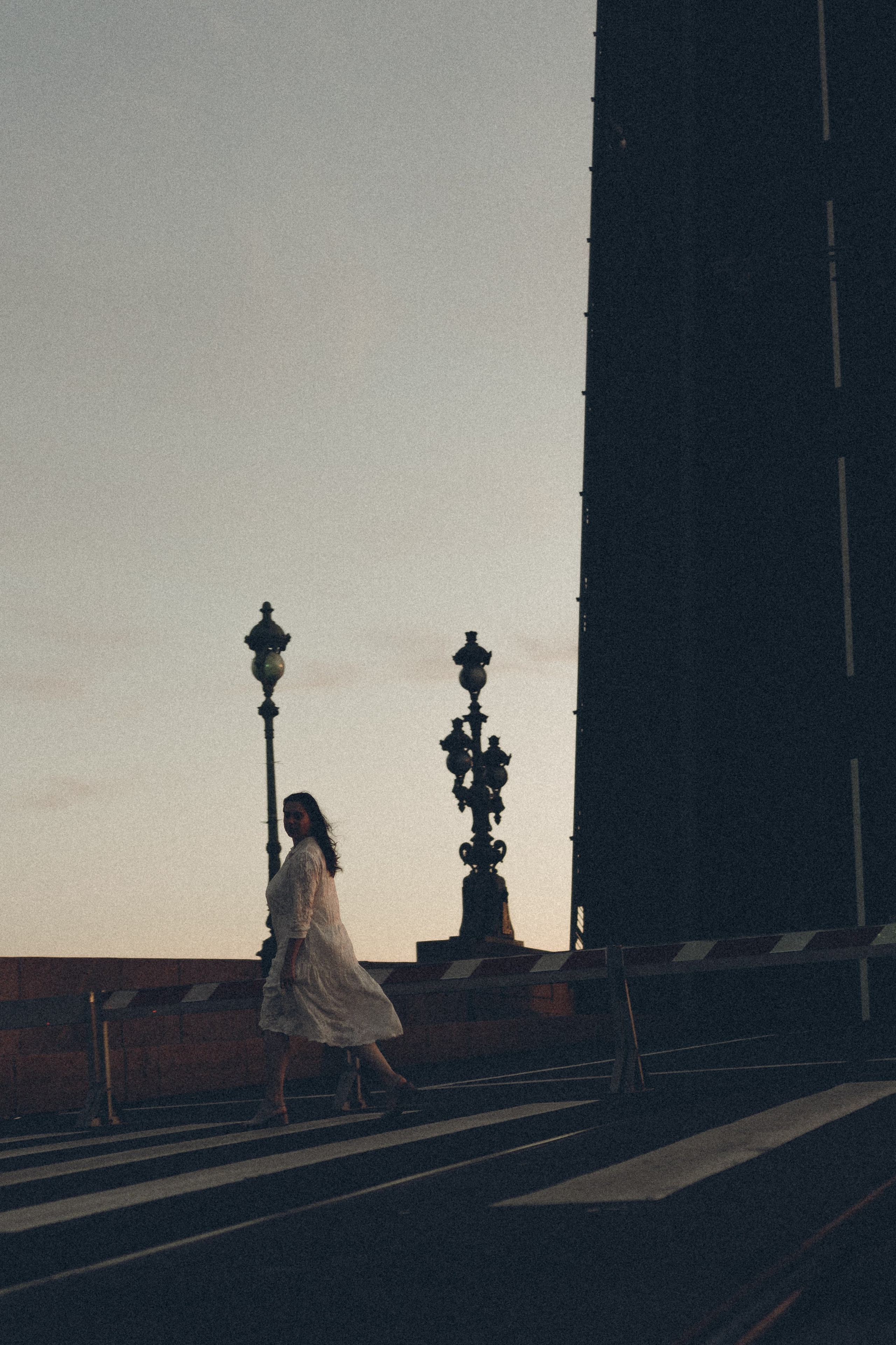 РАССВЕТ С РАЗВОДНЫМИ МОСТАМИ. Профессиональный фотограф, Санкт-Петербург — Виктория Богомолова