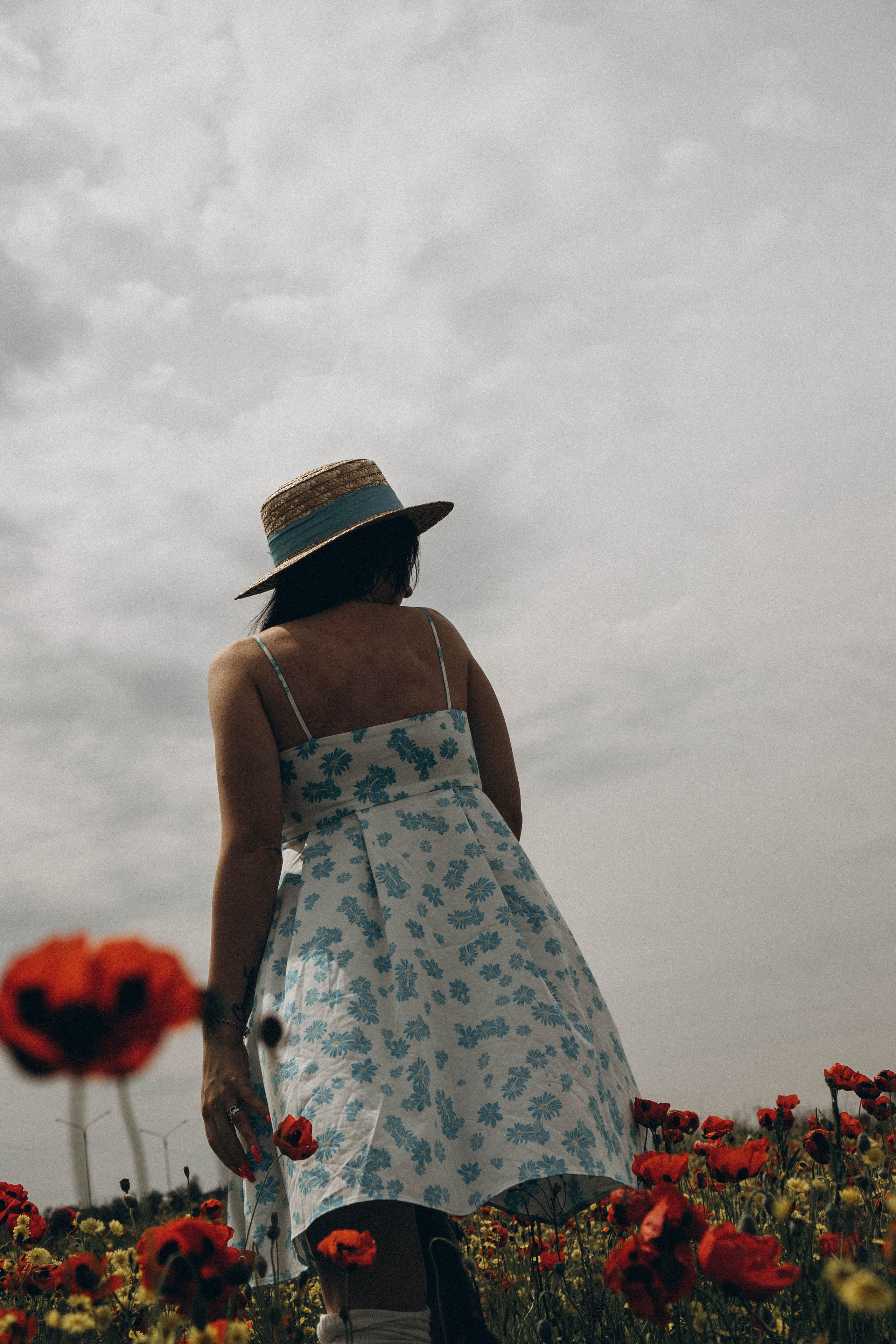 Цветочная поляна. Профессиональный фотограф, Санкт-Петербург — Виктория Богомолова