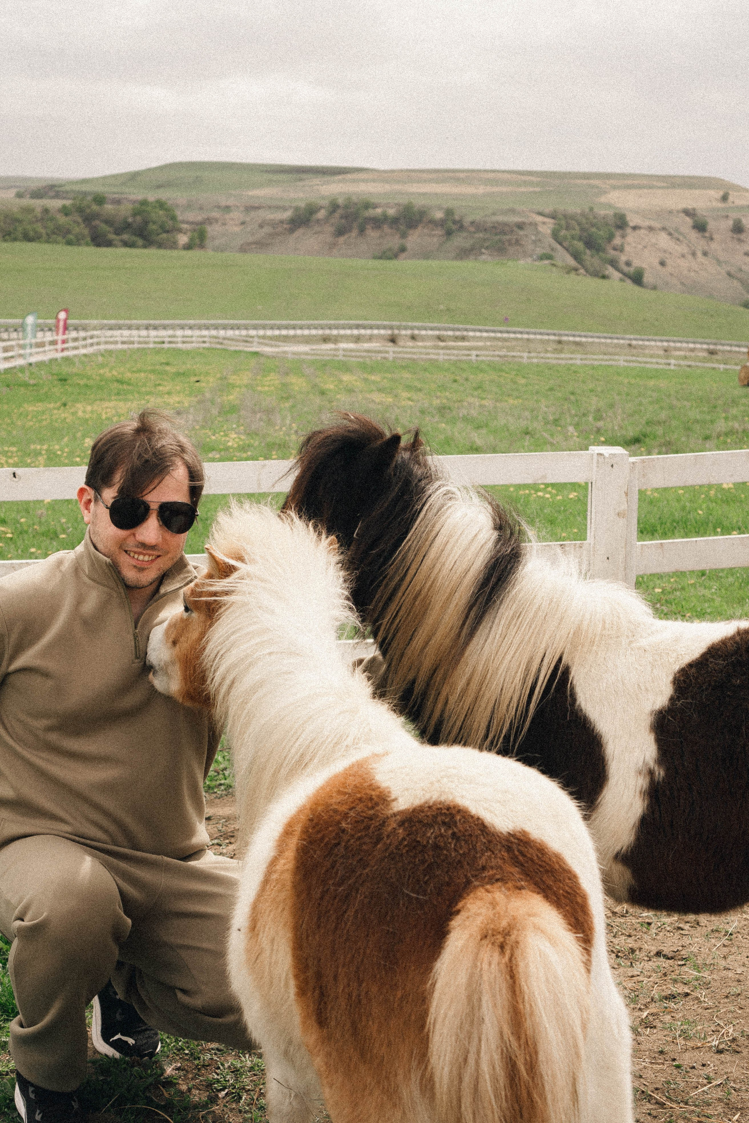 Ферма Альпак. Профессиональный фотограф, Санкт-Петербург — Виктория Богомолова