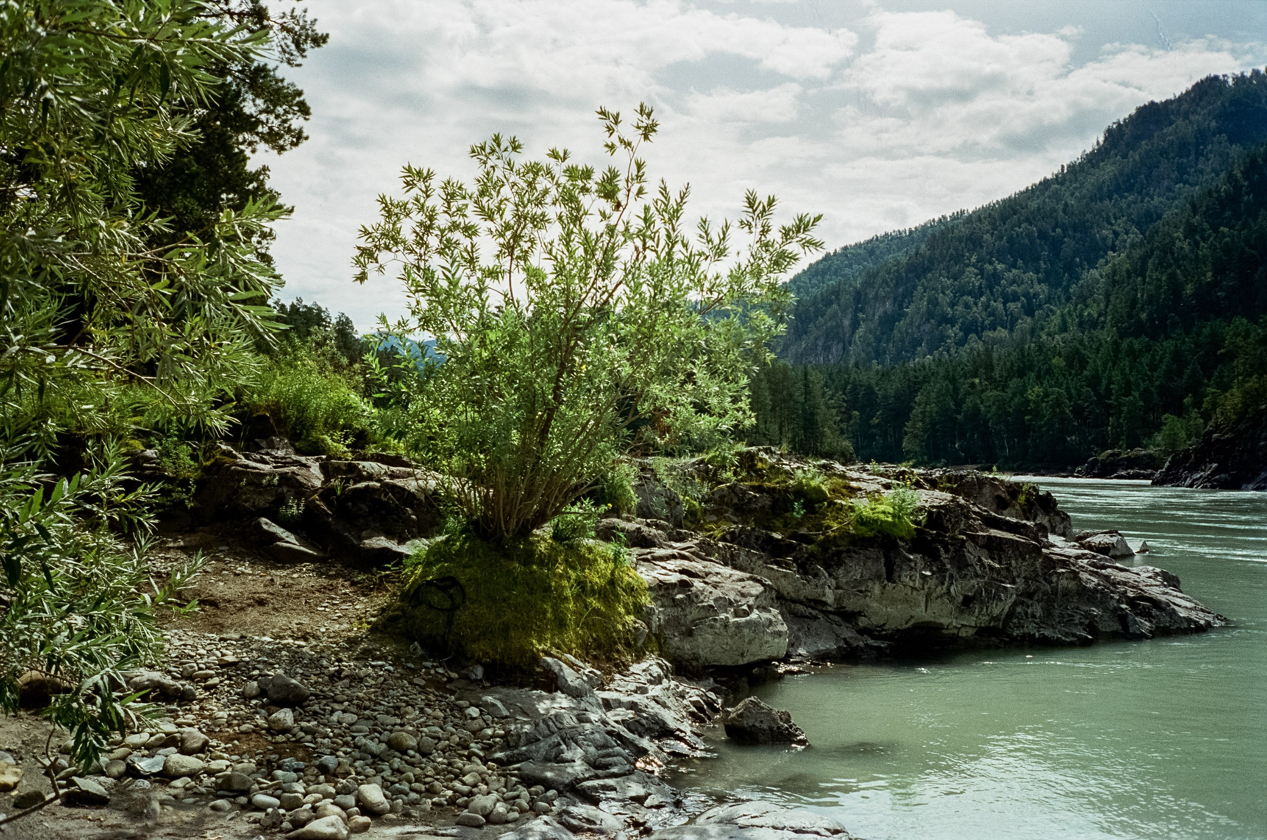 Кедровый остров, Катунь и скалы. Фотограф-документалист Мария Осокина
