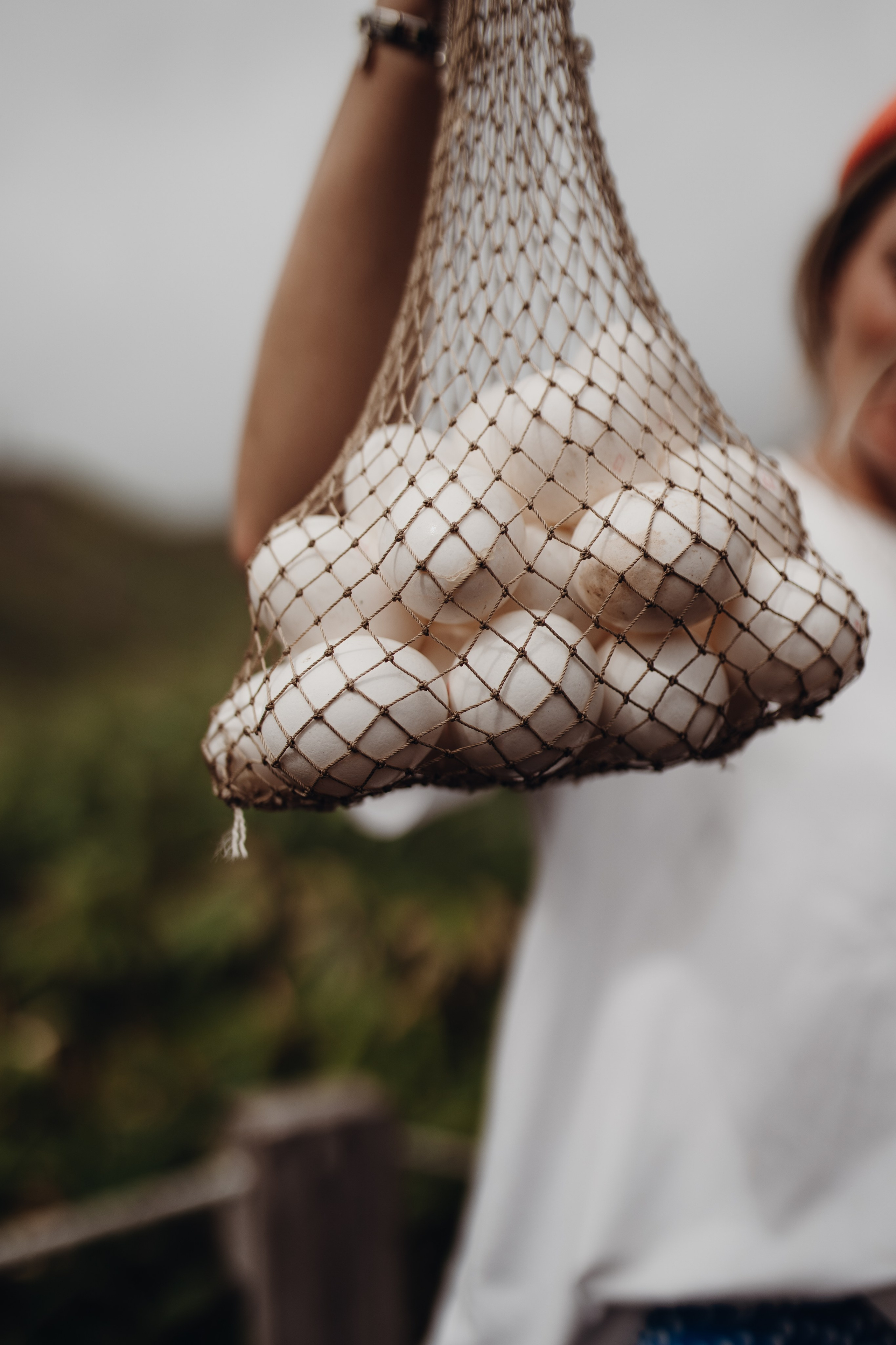 Авторский тур «Оля, куда завтра?!» 2024. Фотограф Итуруп | Курильские острова