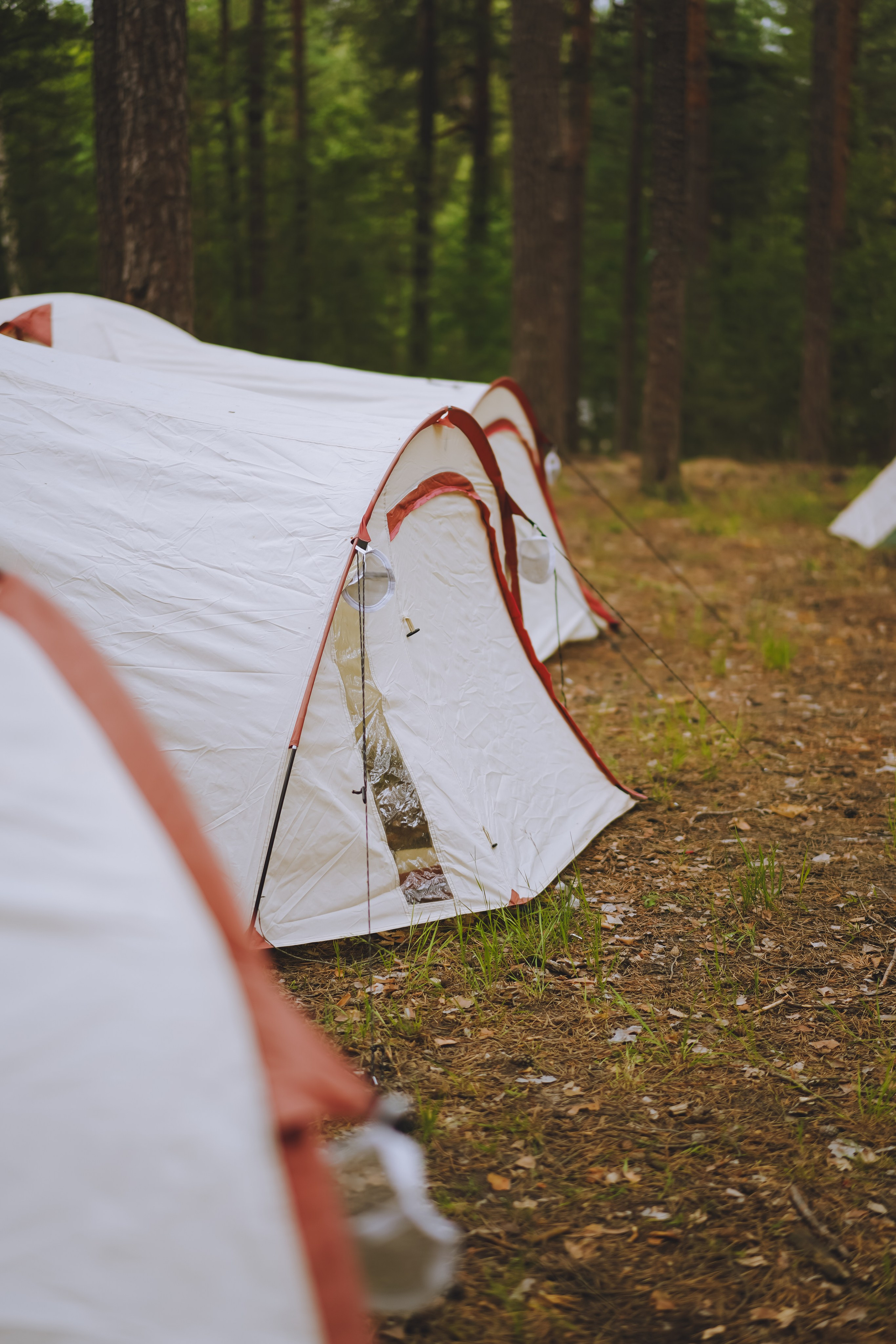 Палаточный форум CAMPot 2025. Фотограф Надежда Погребняк | Рязань | Москва
