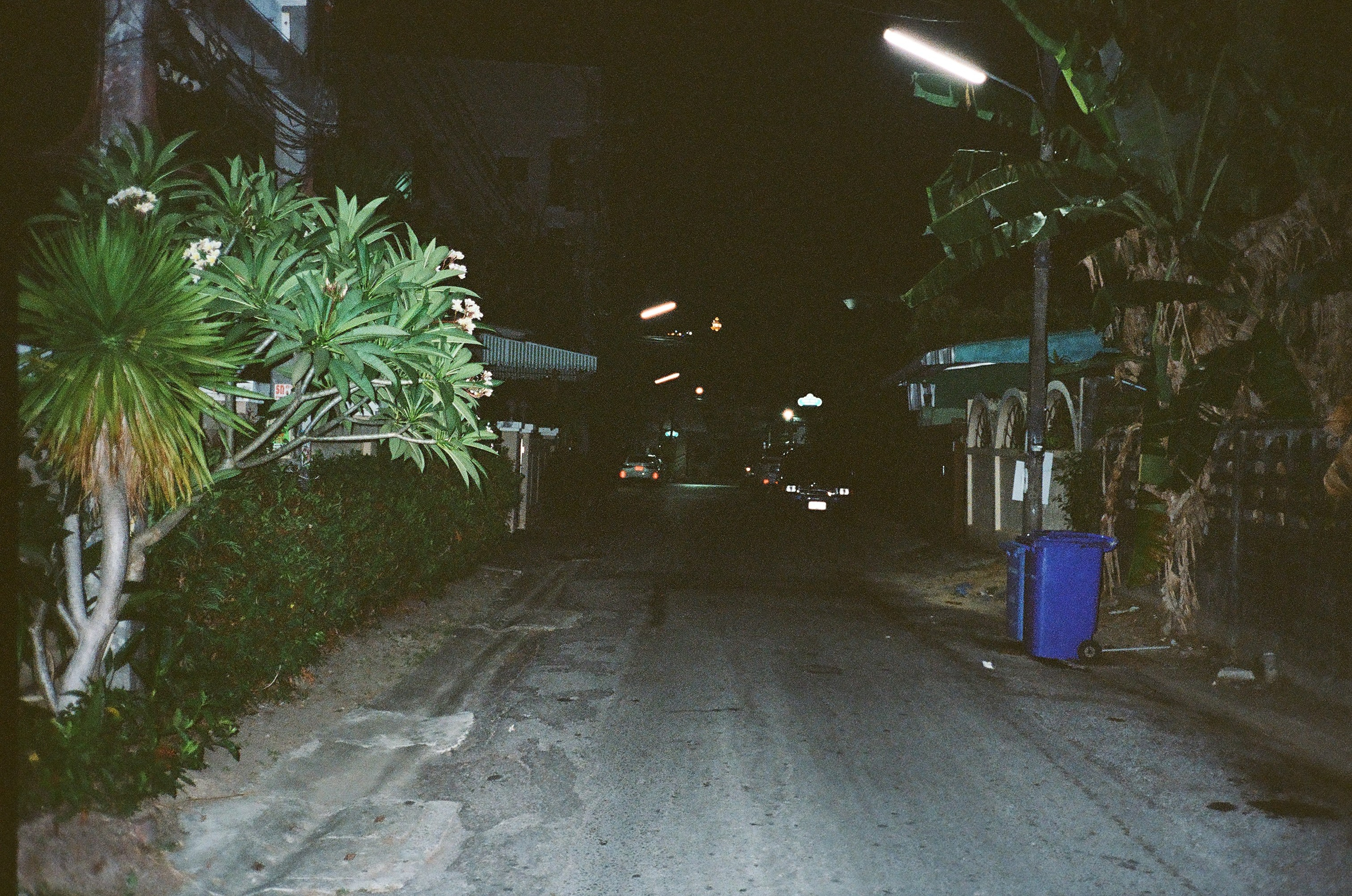 Thailand. Pavlov Arts