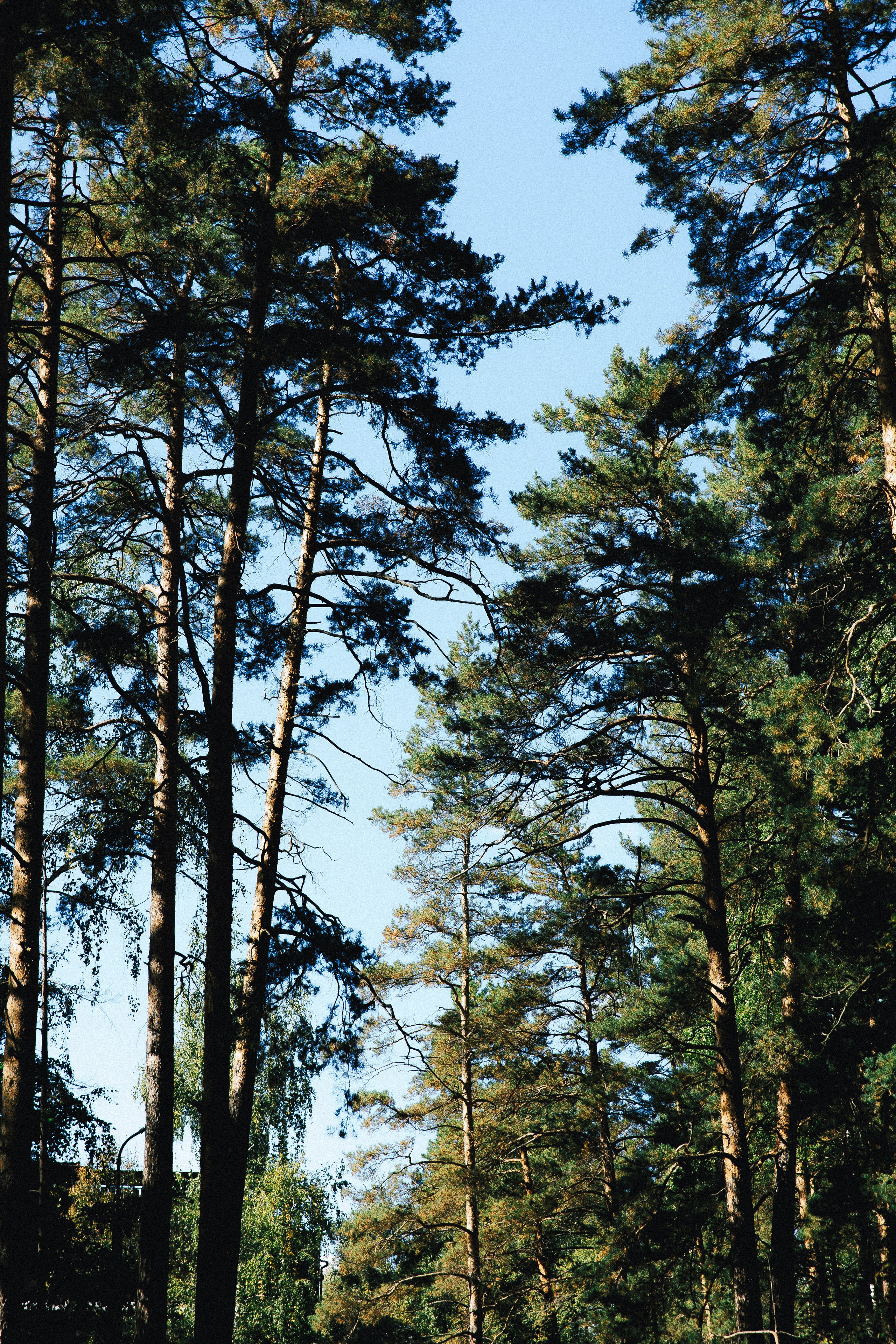 Антонина & Ярослав