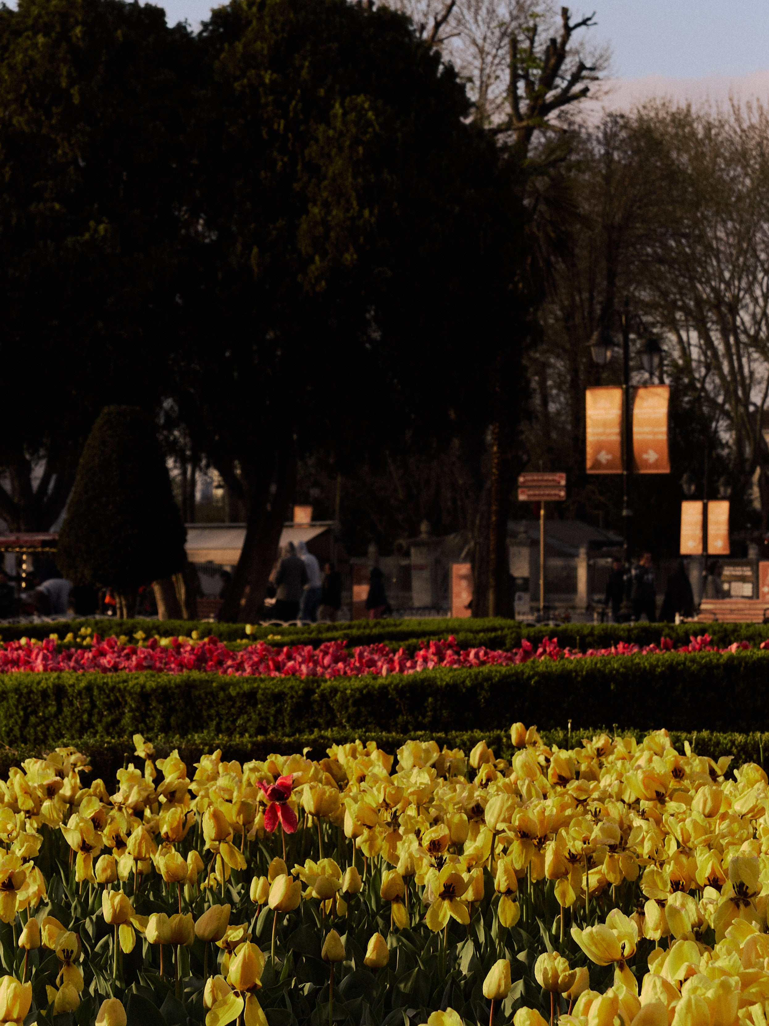 Природа сквозь. Jorgis Talè — photographer, kind person, teacher of arts and other mag