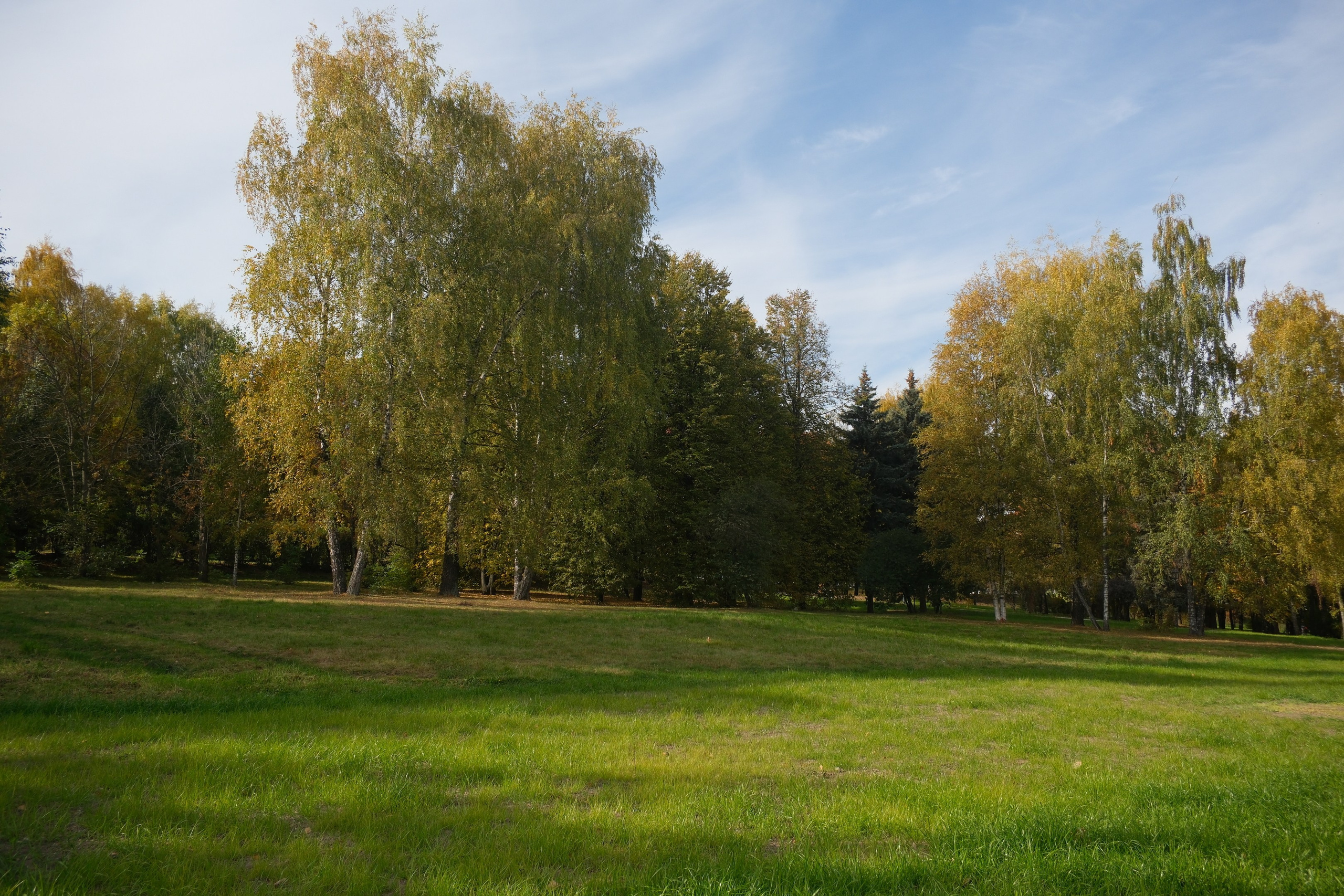 Коломенское 04.10.2025. Улица, люди, жизнь…