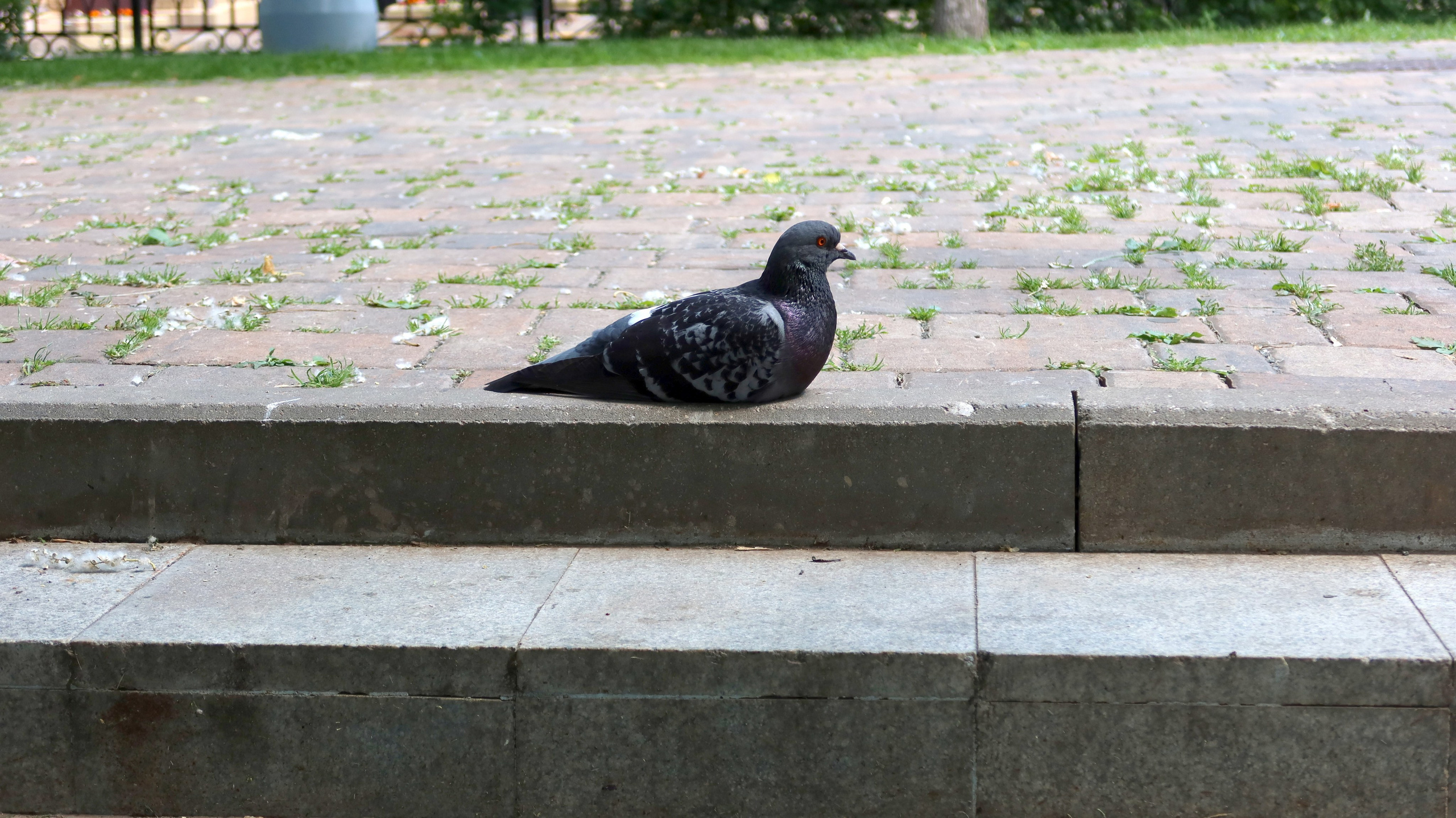 Антроповский сквер. Улица, люди, жизнь…