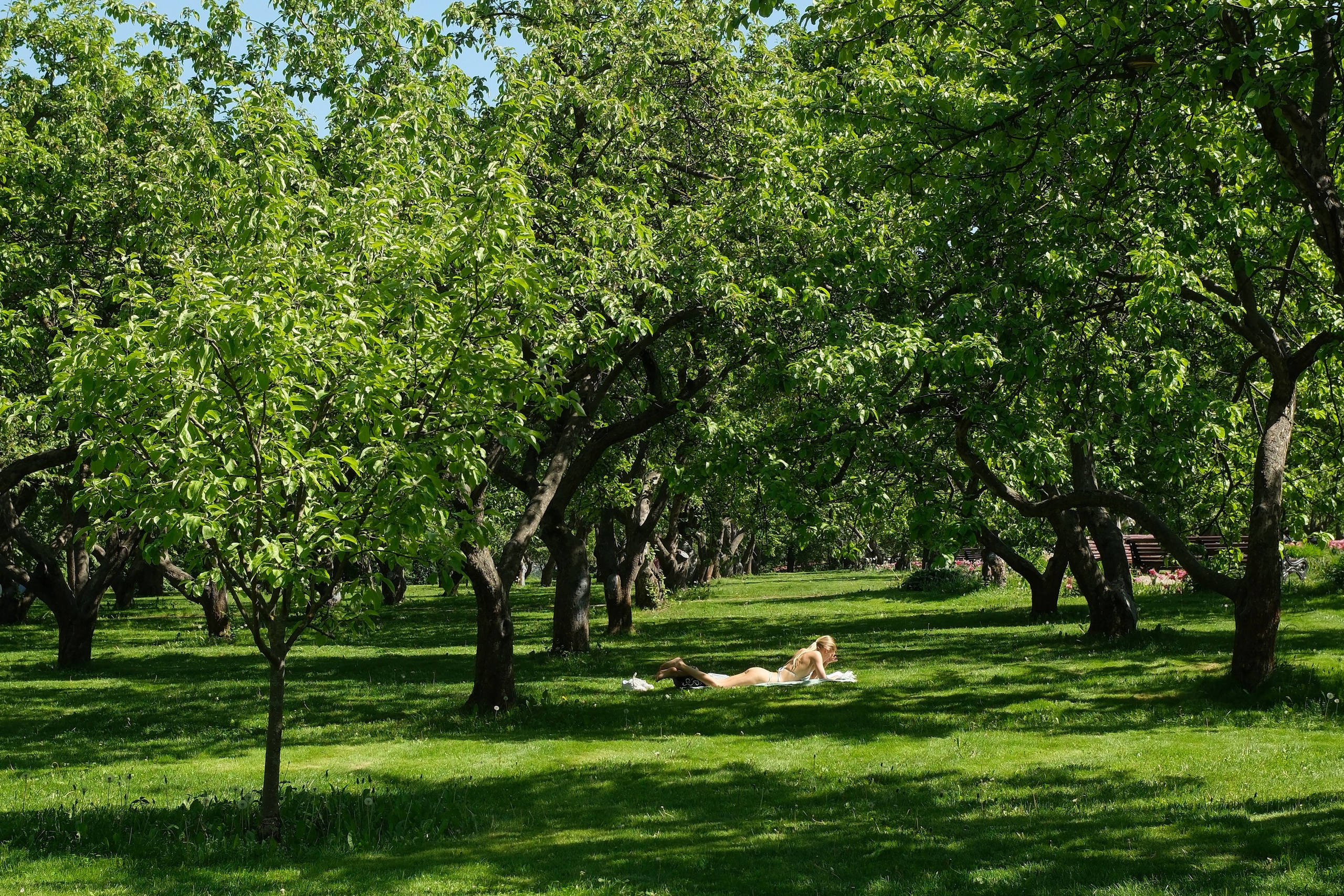 Коломенское 2024. Улица, люди, жизнь…