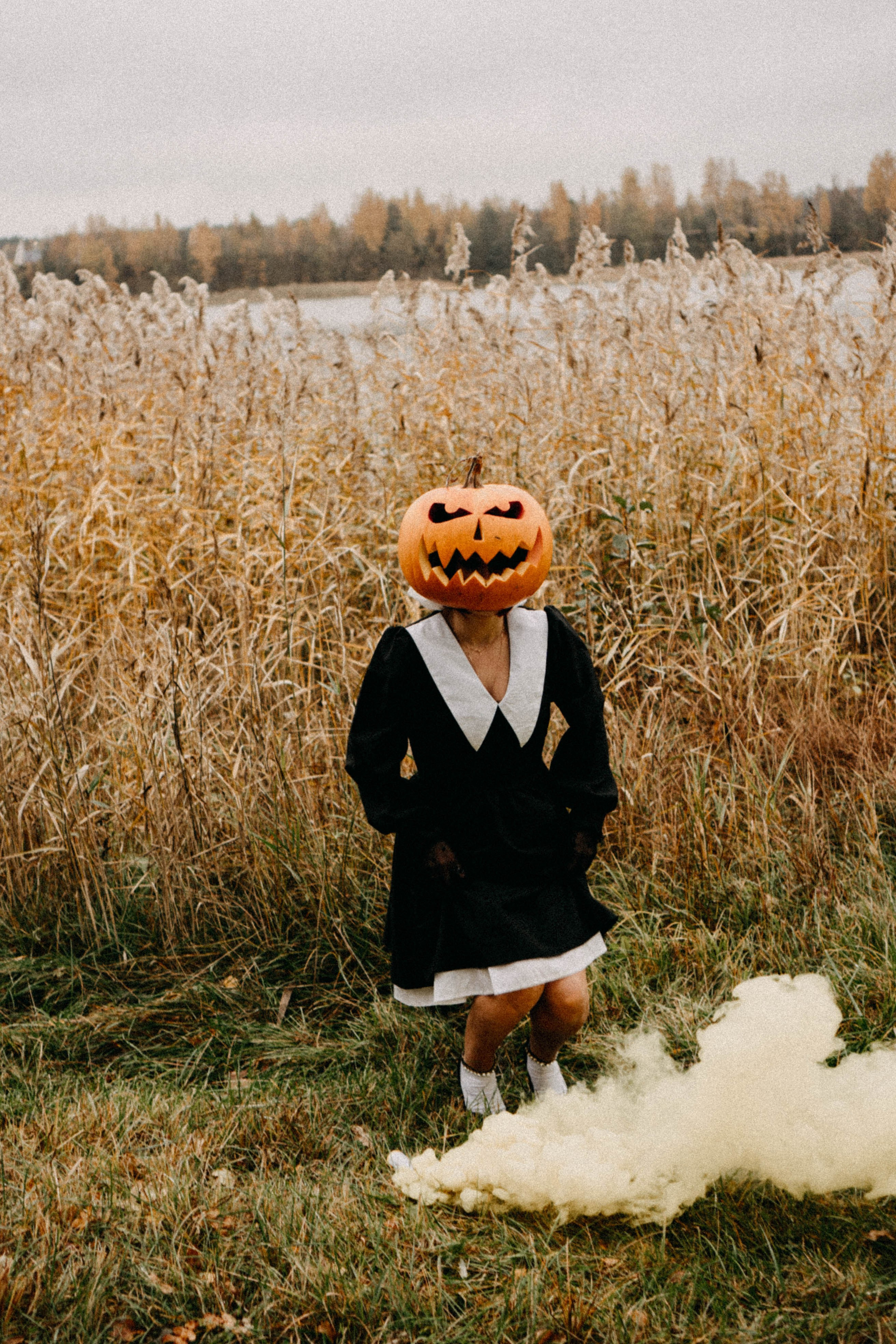 Осеняя. Профессиональный фотограф, Санкт-Петербург — Виктория Богомолова