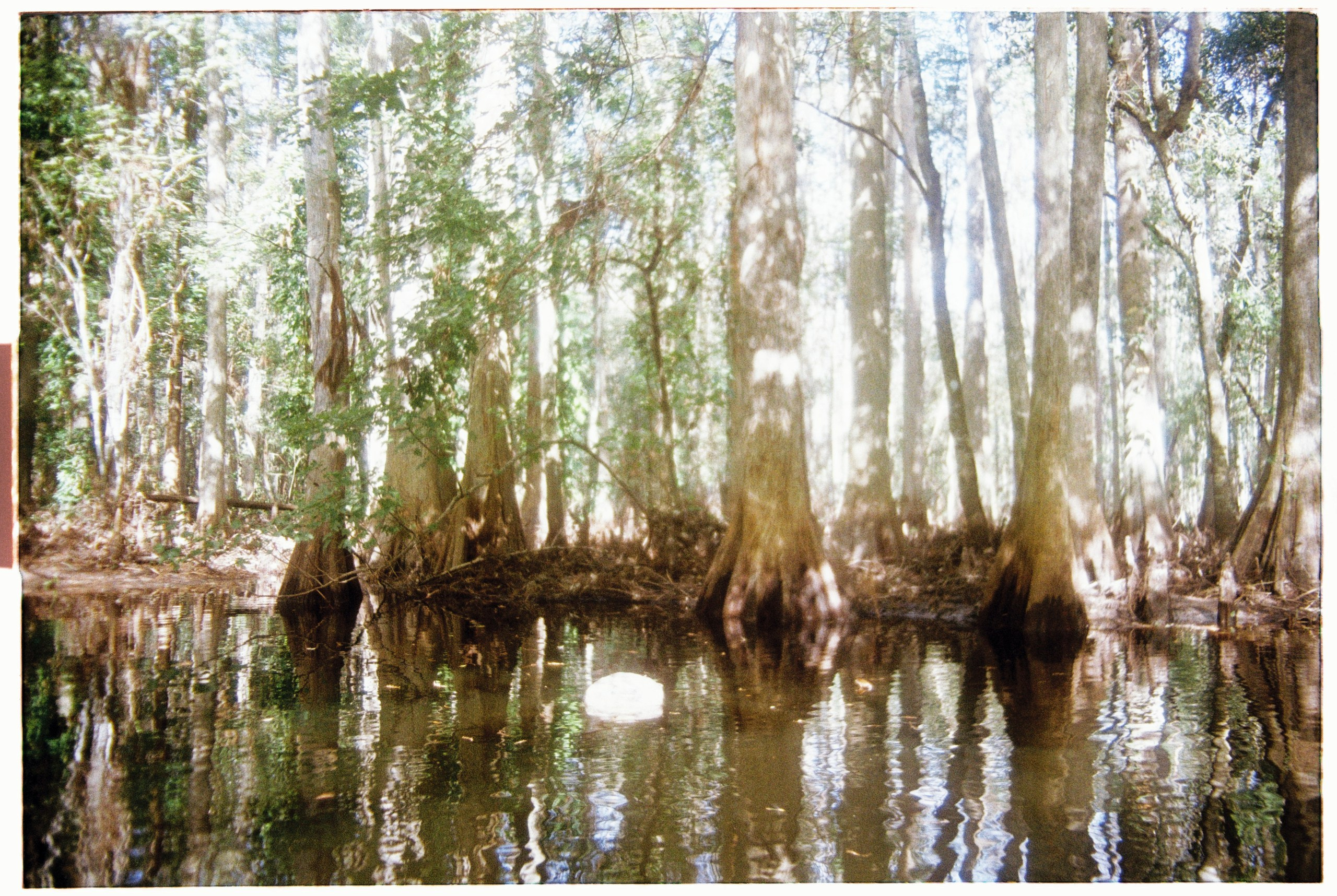 Florida. Егор Фотобрат — Портретный фотограф теперь в Ташкенте