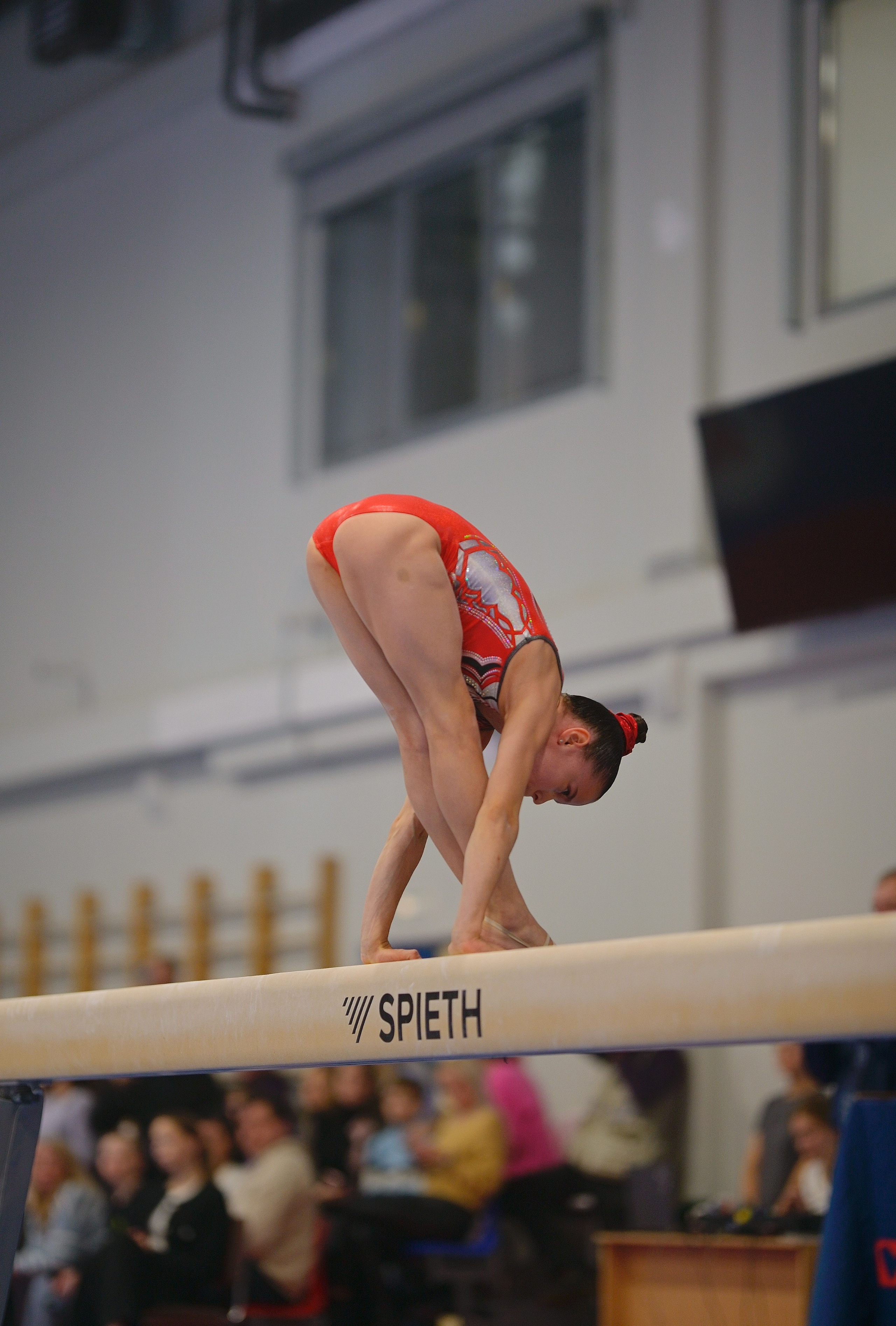Турнир по спортивной гимнастике Е. М. Замолодчиковой. Фотограф Ваших событий 📸