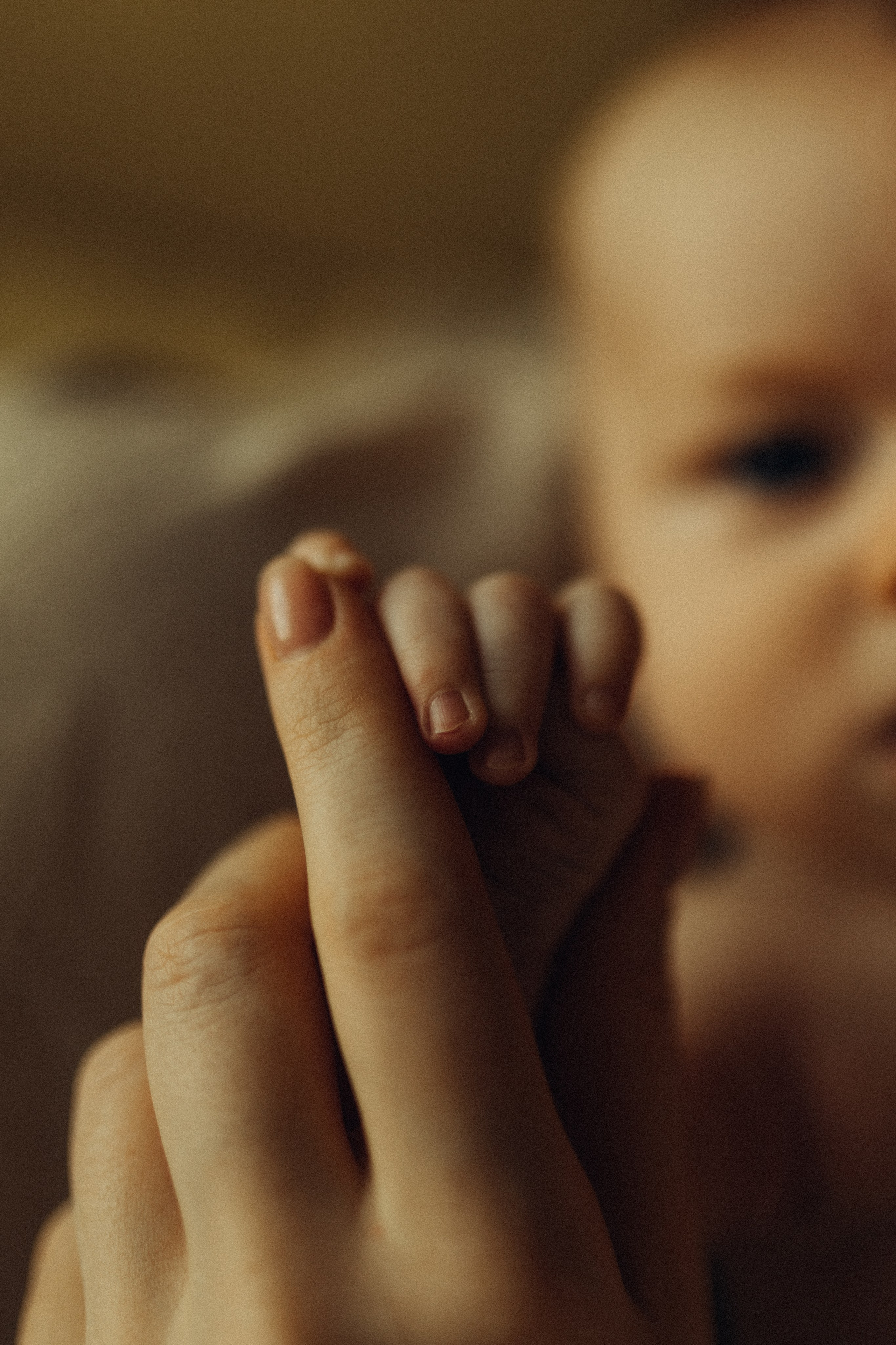 Катя, Арсений. Семейный фотограф Оля Гладченко