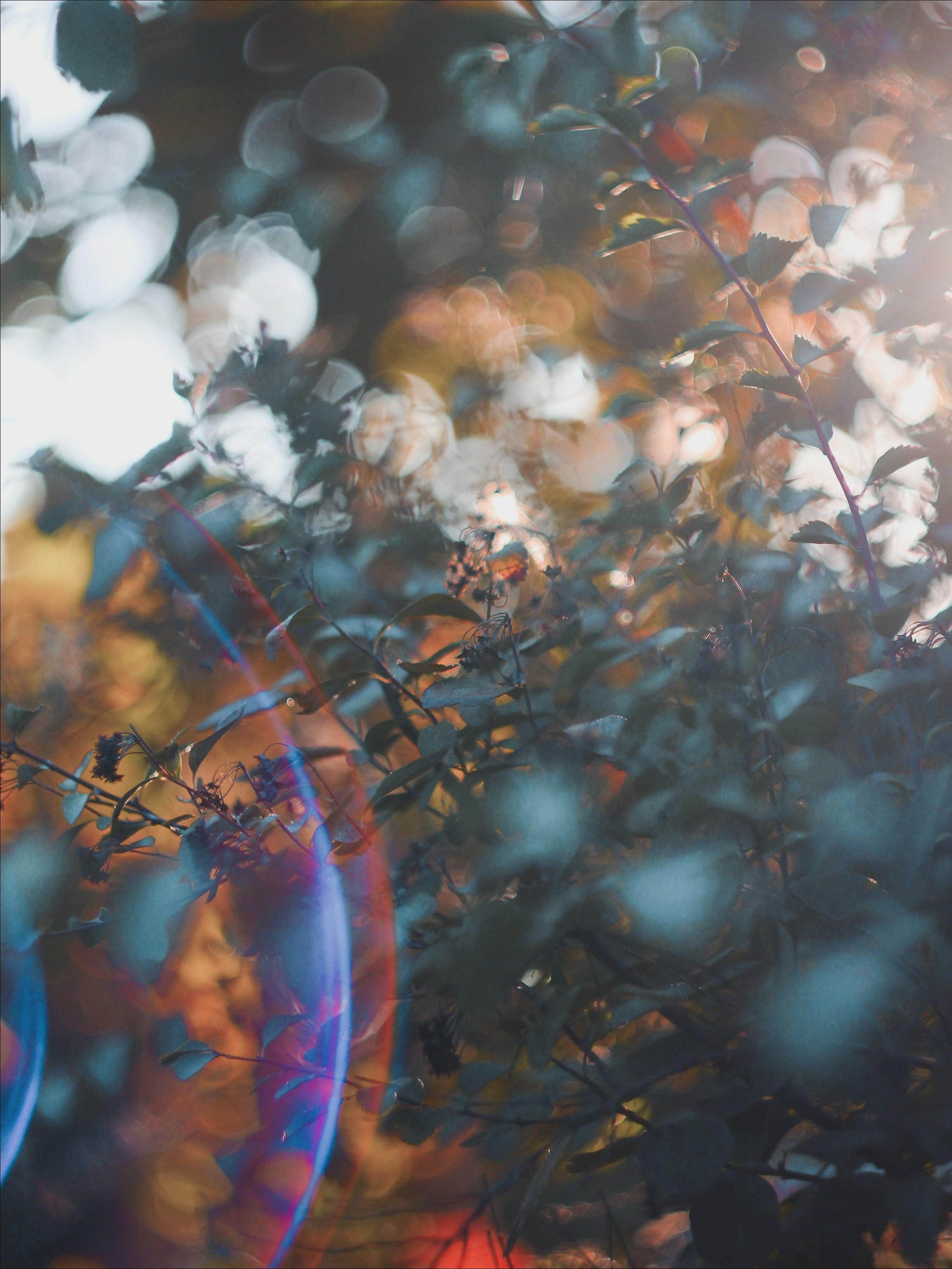 Эфемерность моментов. С любовью, фотохудожник